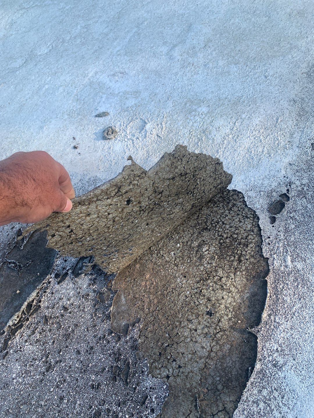 100% Silicone Roof Coating Repair using Tropical #924 Silicone Roof Coating by Morton Roofing, Inc.