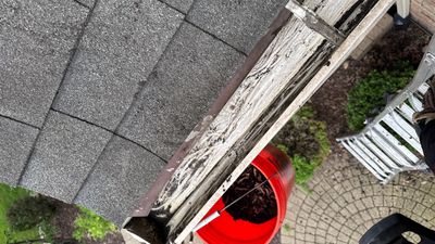 Turtle Shell gutter protection installation in Naperville, IL 60540, photograph 16