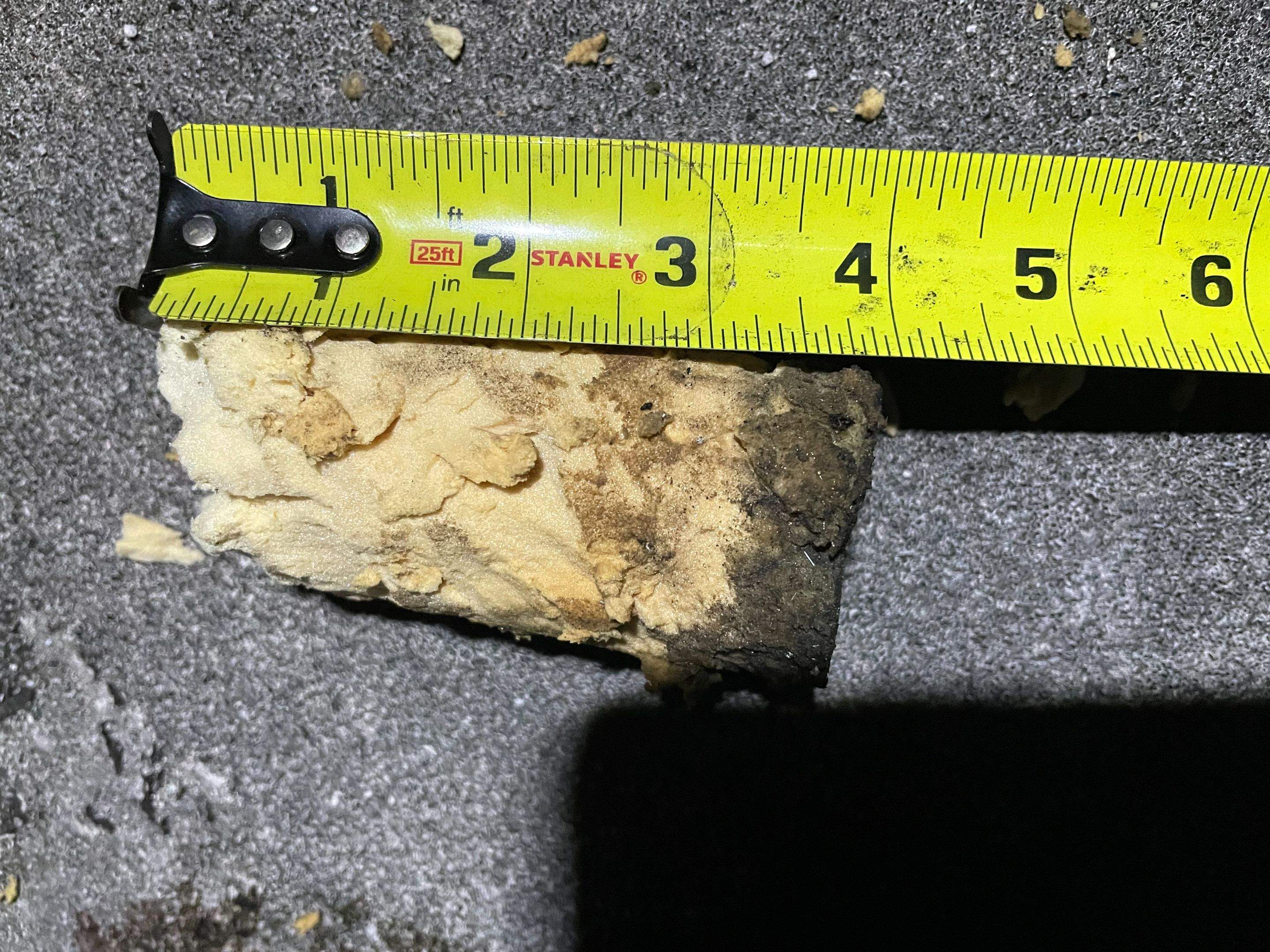 Roof Moisture Survey using Thermal Drone & Thermal Camera by FLORIDA ROOF CONSULTING & INSPECTION SERVICES