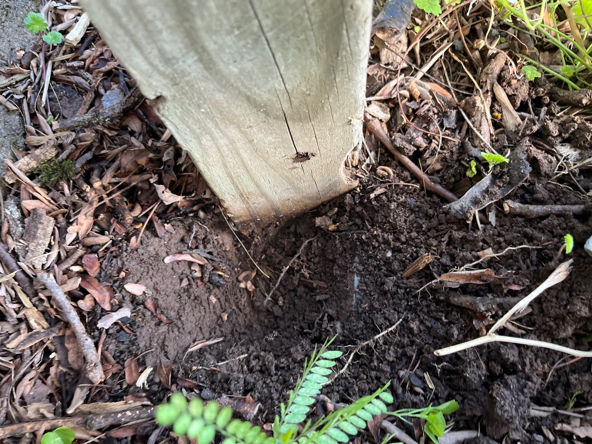 Inspección  by Mike home improvements 