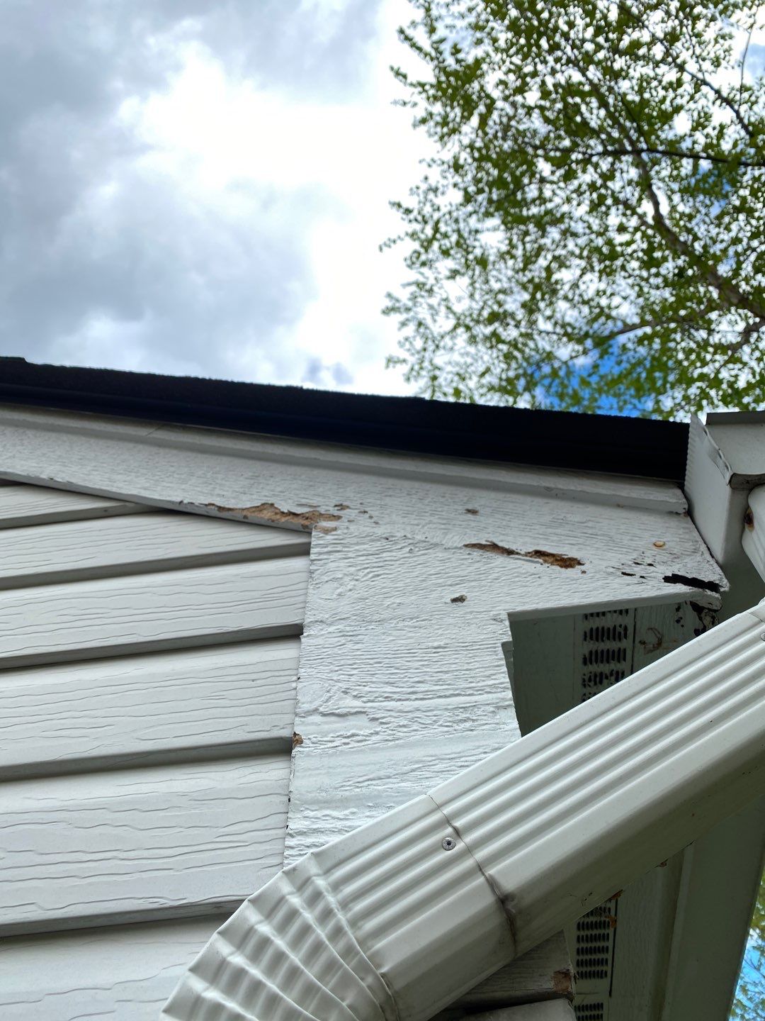 Alexandria: CertainTeed Landmark Pro Designer Shingles in Max Def Colonial Slate by RM Banning, Inc.