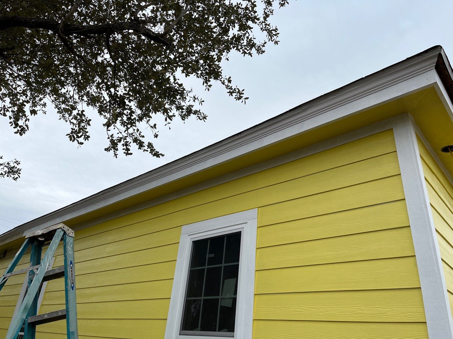 Olive you a Lot! by Bayfront Roofing and Construction