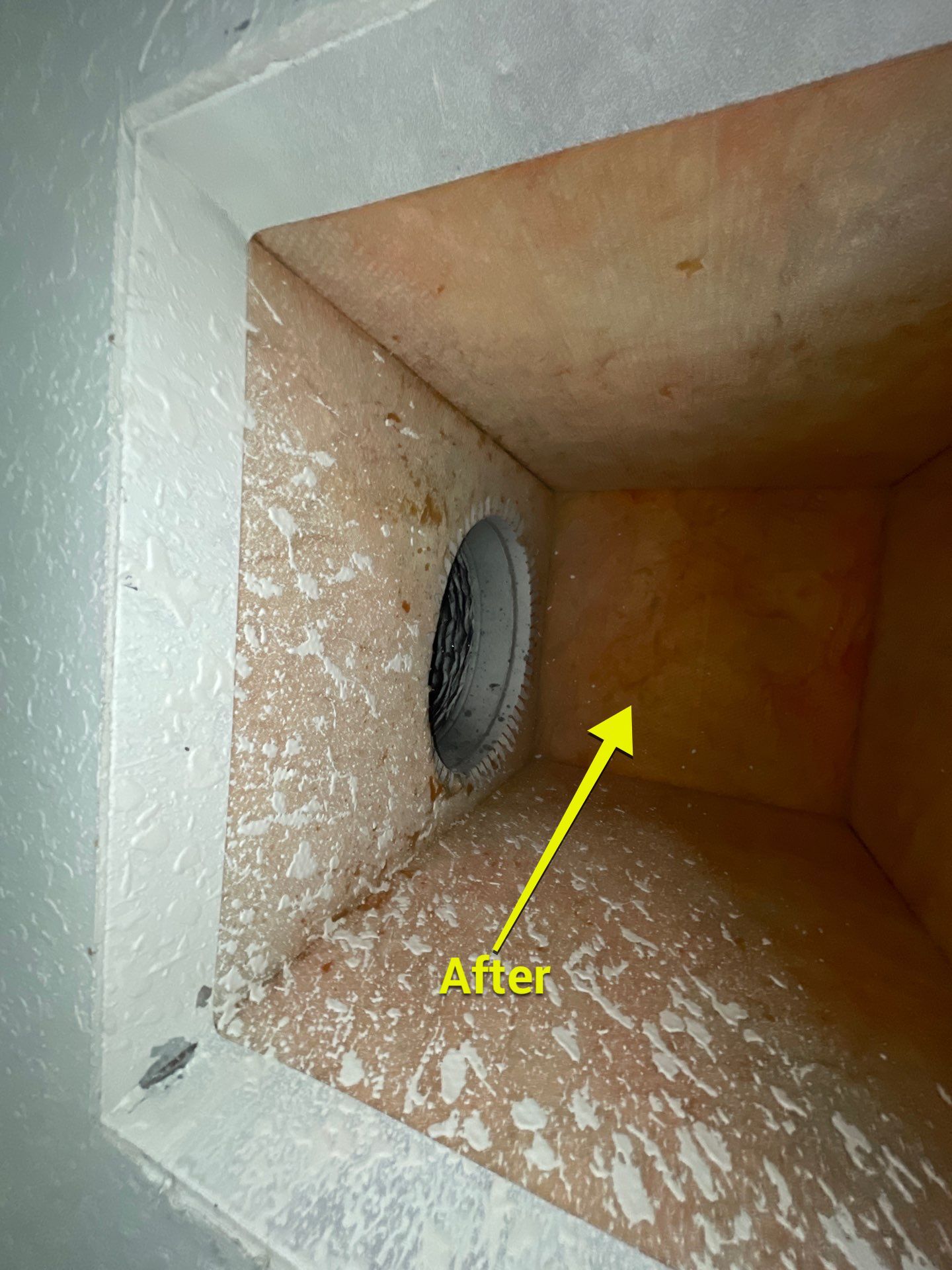 Air Duct Cleaning in Bartow by Hygienic Air, Inc