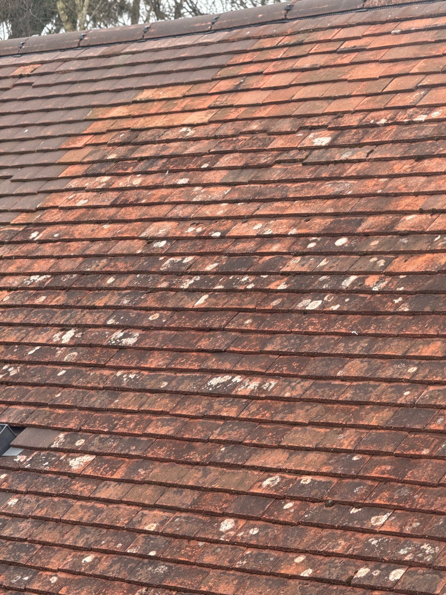 Roof Clean  - Moss Removal - Gutter Clean using Honda 15lpm Low Pressure Washing Machine by Ges Exterior Cleaning ltd