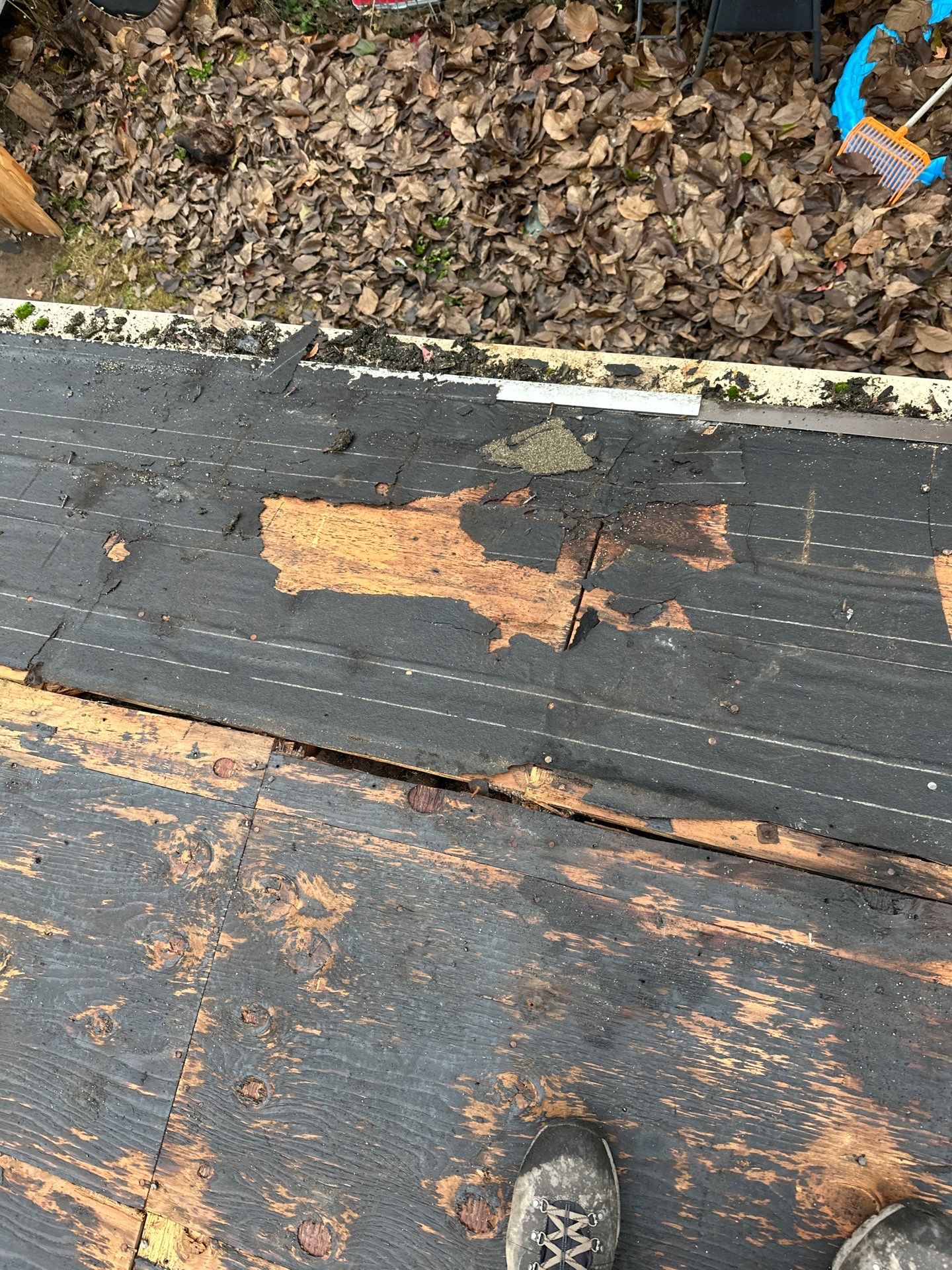 Residential Roofing Installation using IKO Dynasty (Color: Driftshake) by Orezona Building & Roofing Company, Inc.