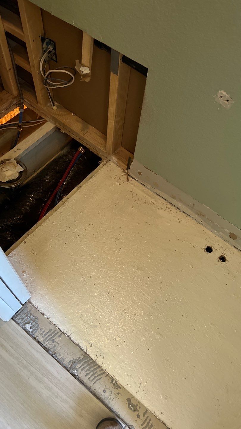 Mold Remediation by Accountable Home Services