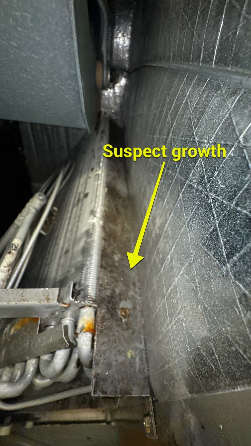 Air Duct Cleaning in Groveland by Hygienic Air, Inc