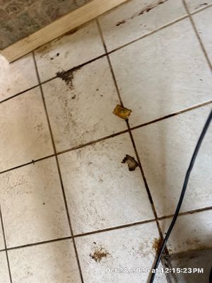 Sewage Backup Cleanup — Naples, FL