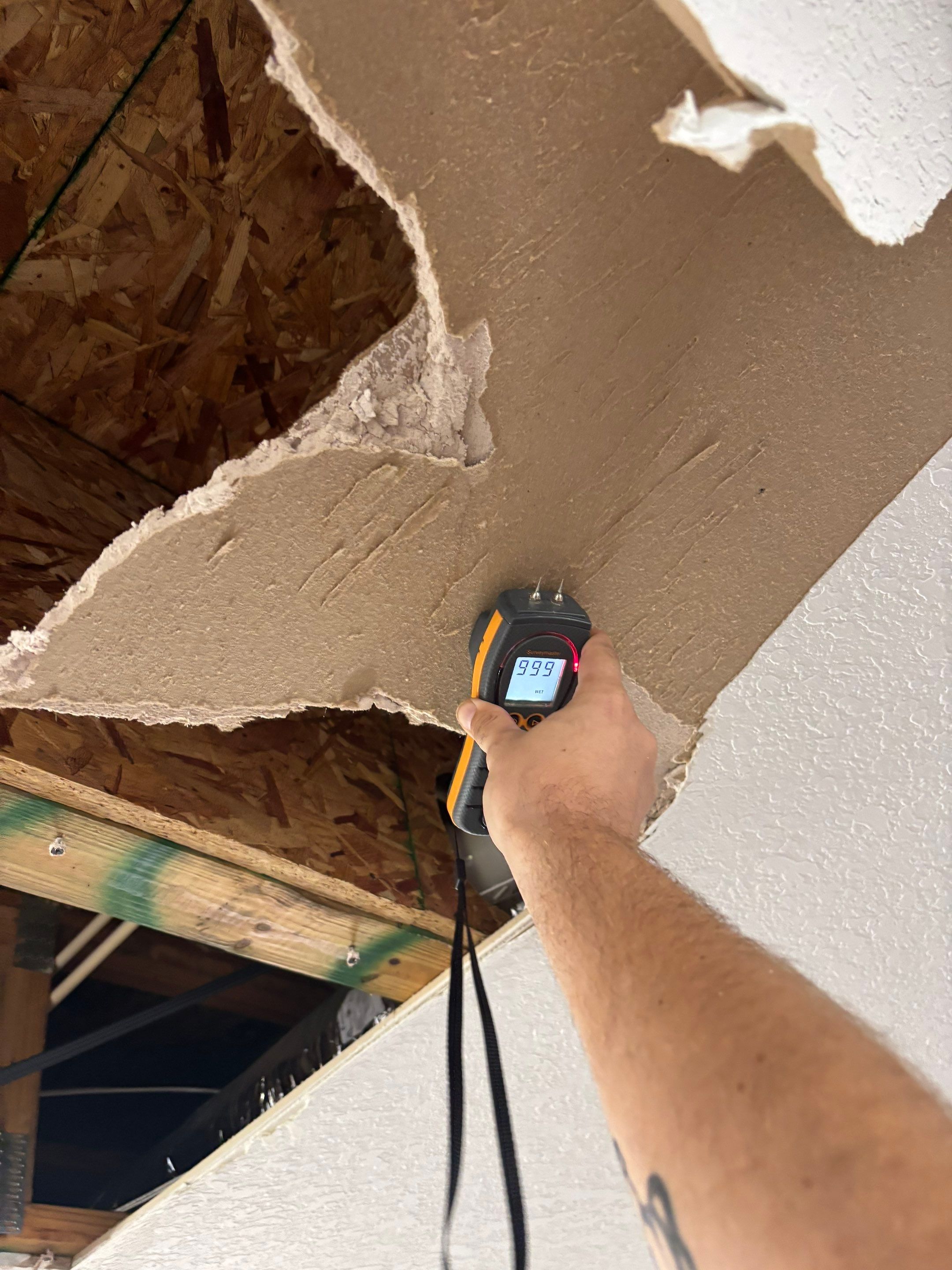 Project in Hudson by 1-800-Dry-Me-Out