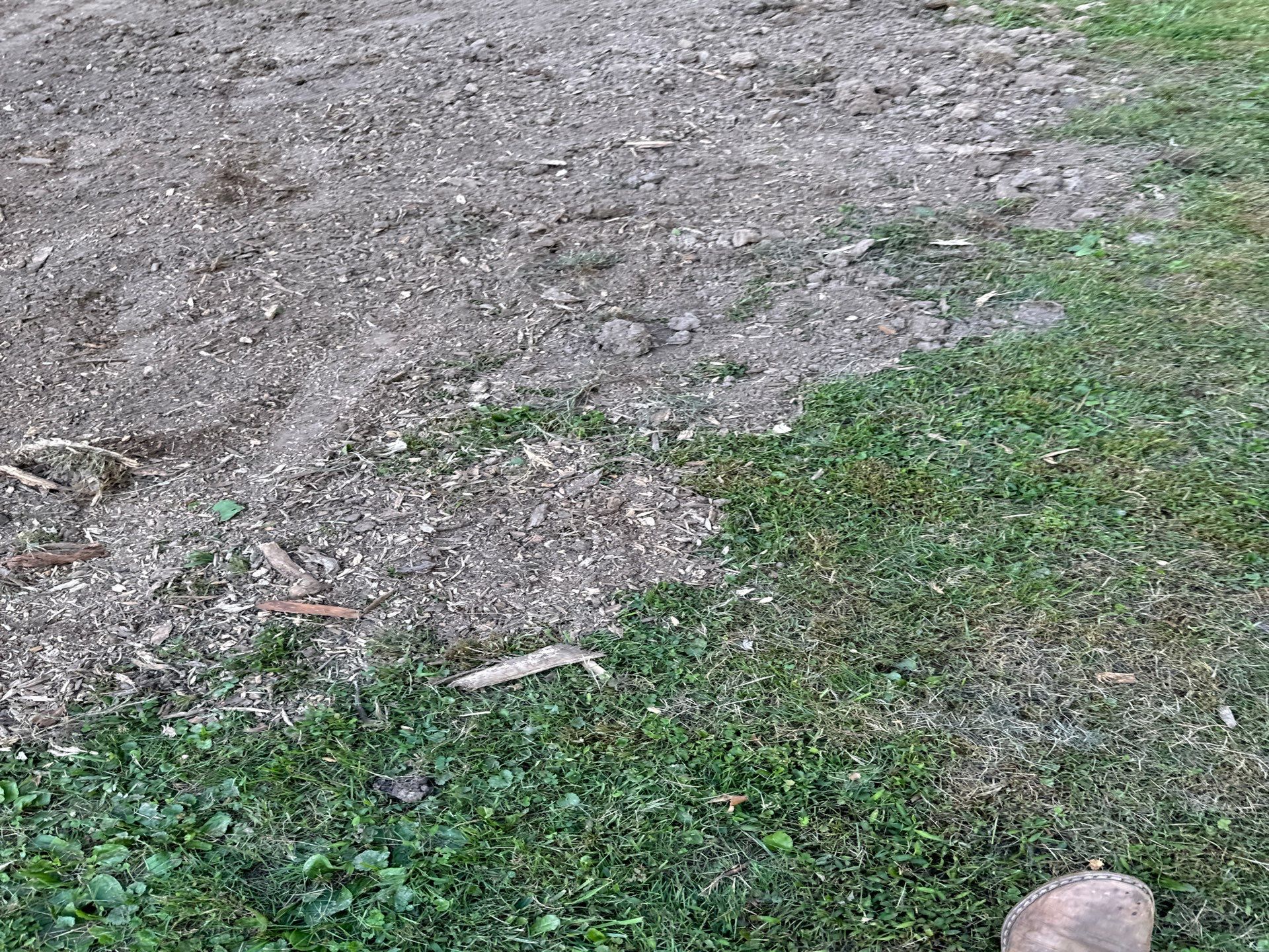 New Deck using Trex Tiki Torch  by deck guardian