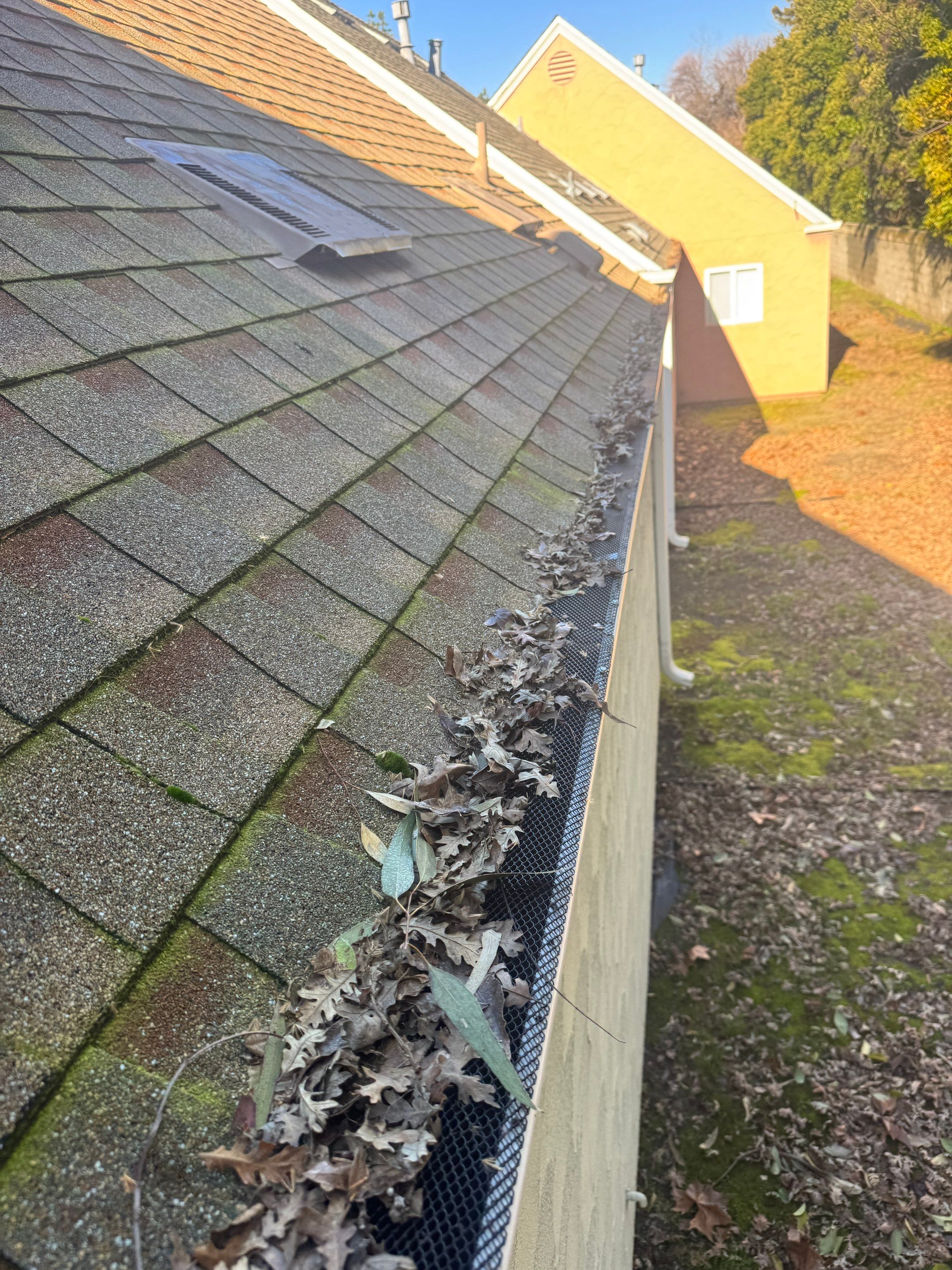 HOA gutter cleaning before photo