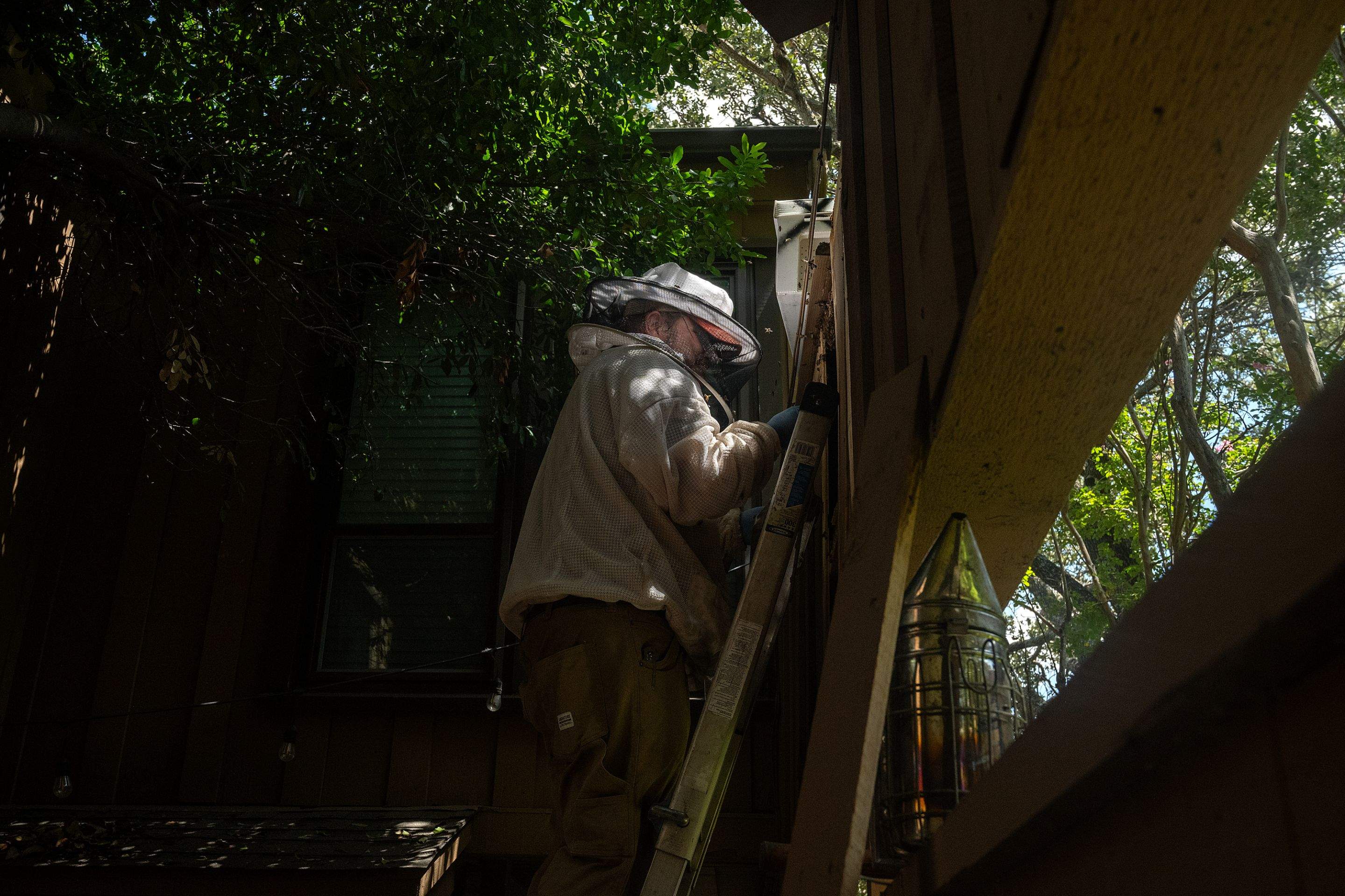 Condo Patio by Rockwall Honey Bee Company
