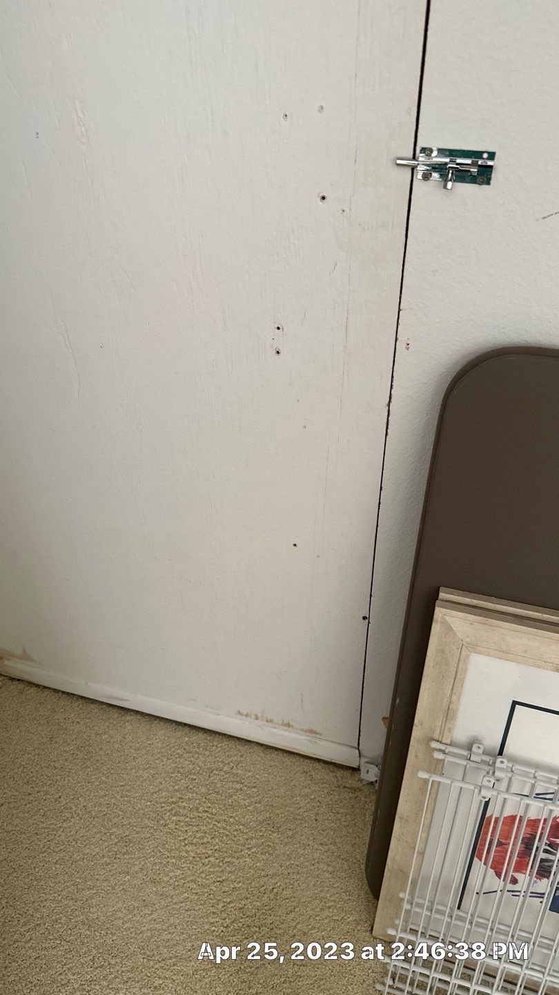Humidity Bloom that caused mold to Grow by Building performance Solutions LLC