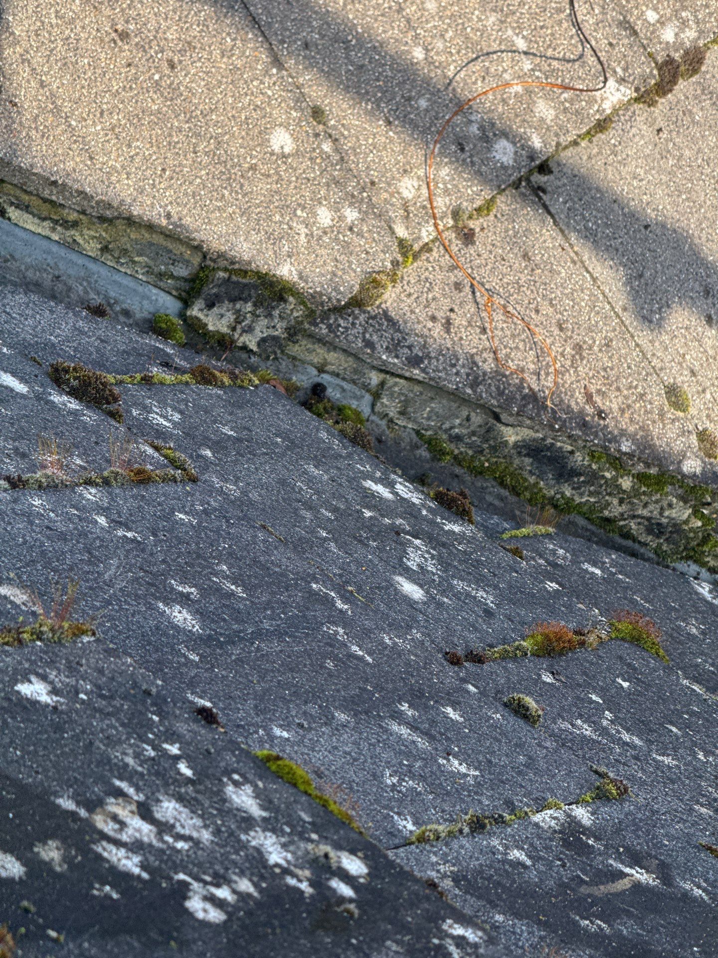 Care Home Roof and Walk Ways clean by Ges Exterior Cleaning ltd