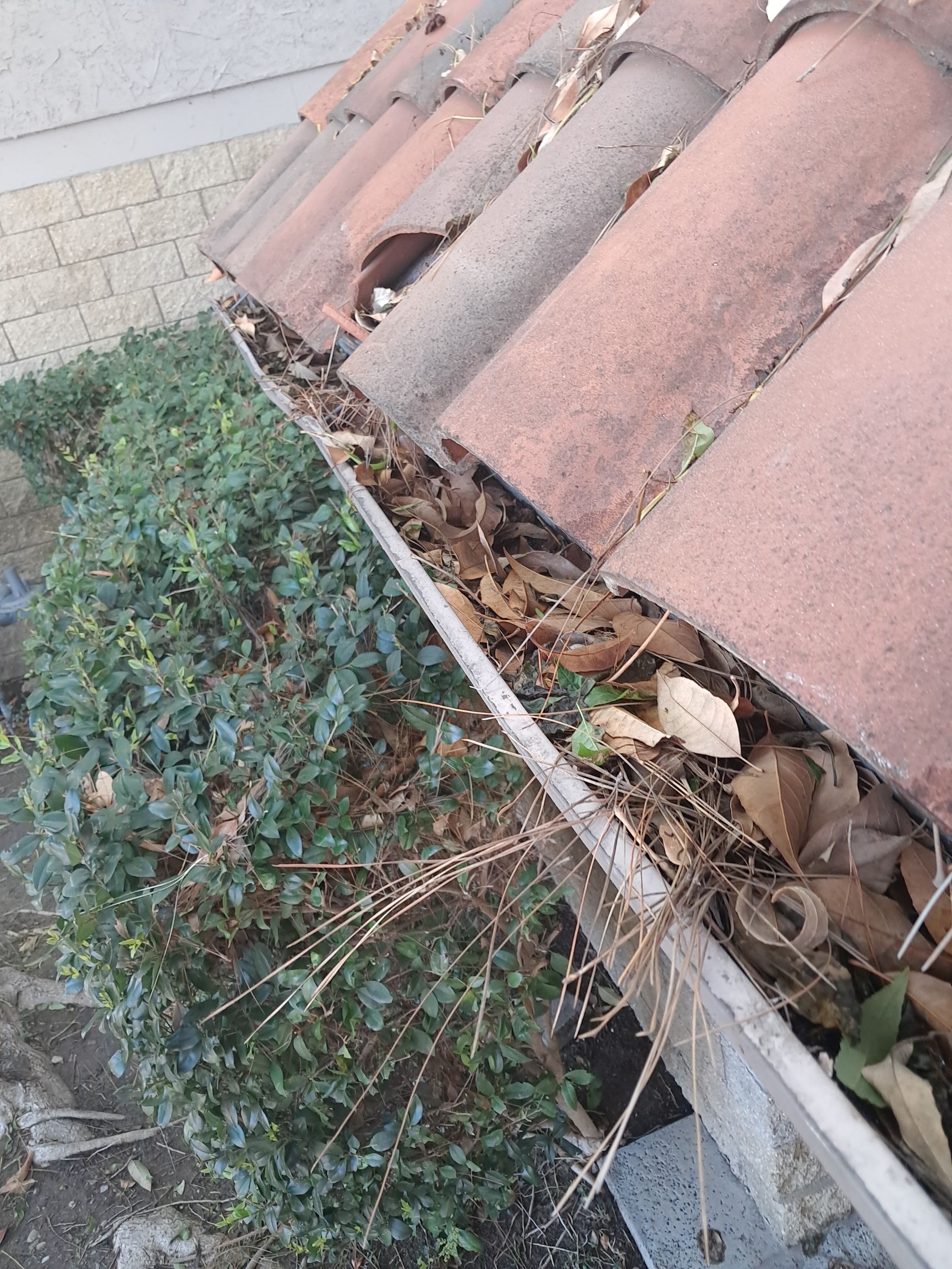 Commercial gutter cleaning Oxnard & Ventura, CA before photo with filled gutters