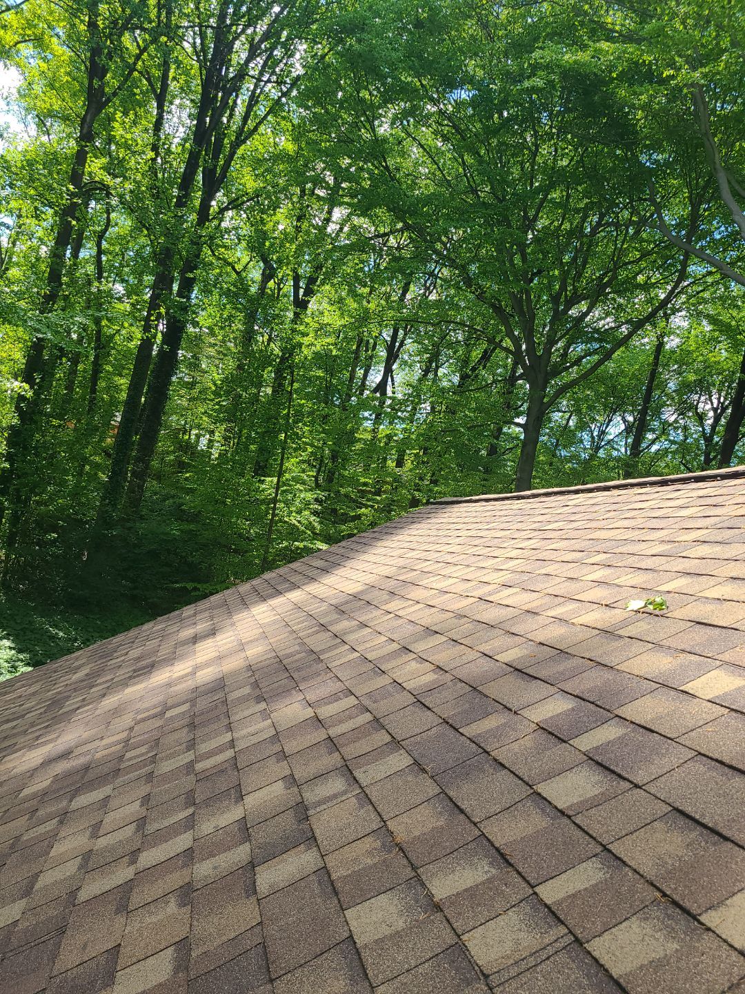 Annandale: Multi-Trade Tree Damage Restoration by RM Banning, Inc.