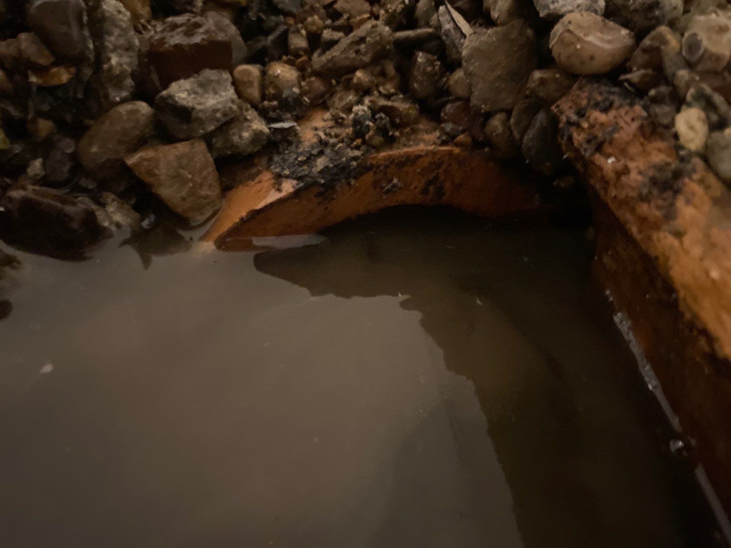 Custom Dual Sump System for Maggie by Waterproofing Northeast