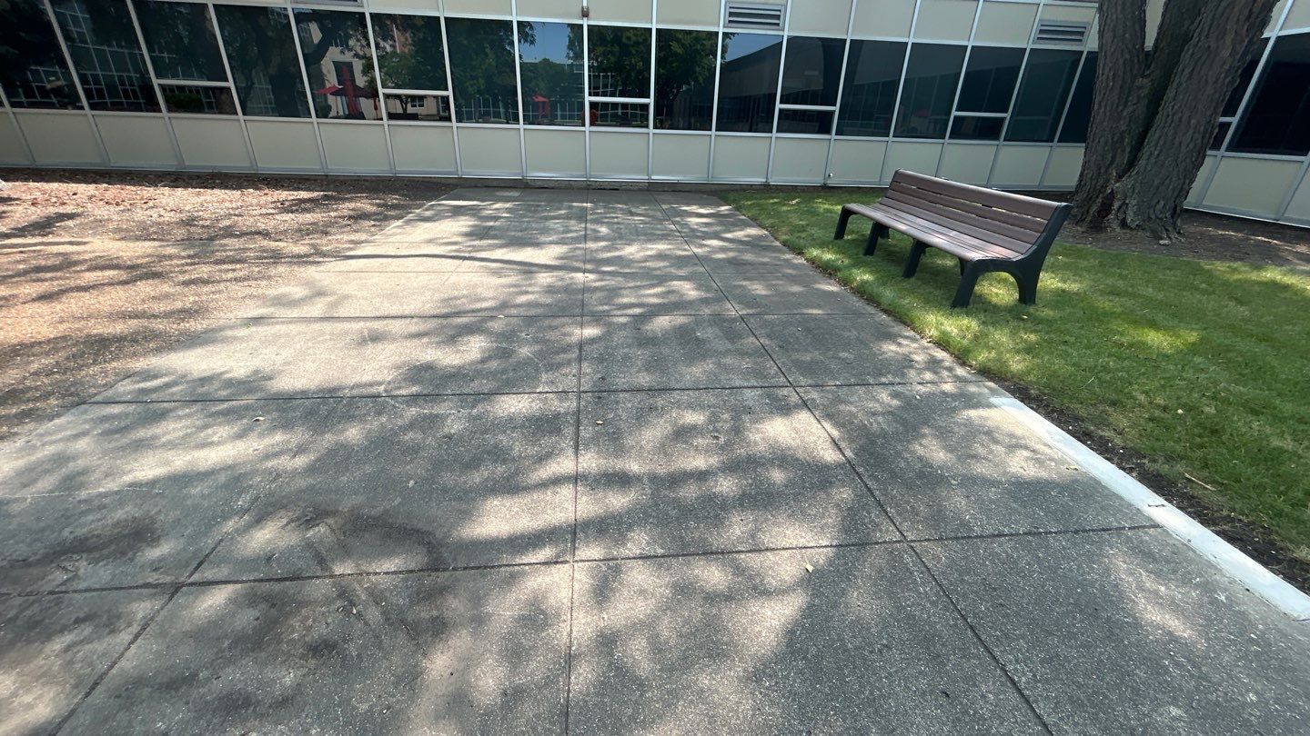 concrete using Algaecide, soft wash soap by Northern Power Washing LLC.