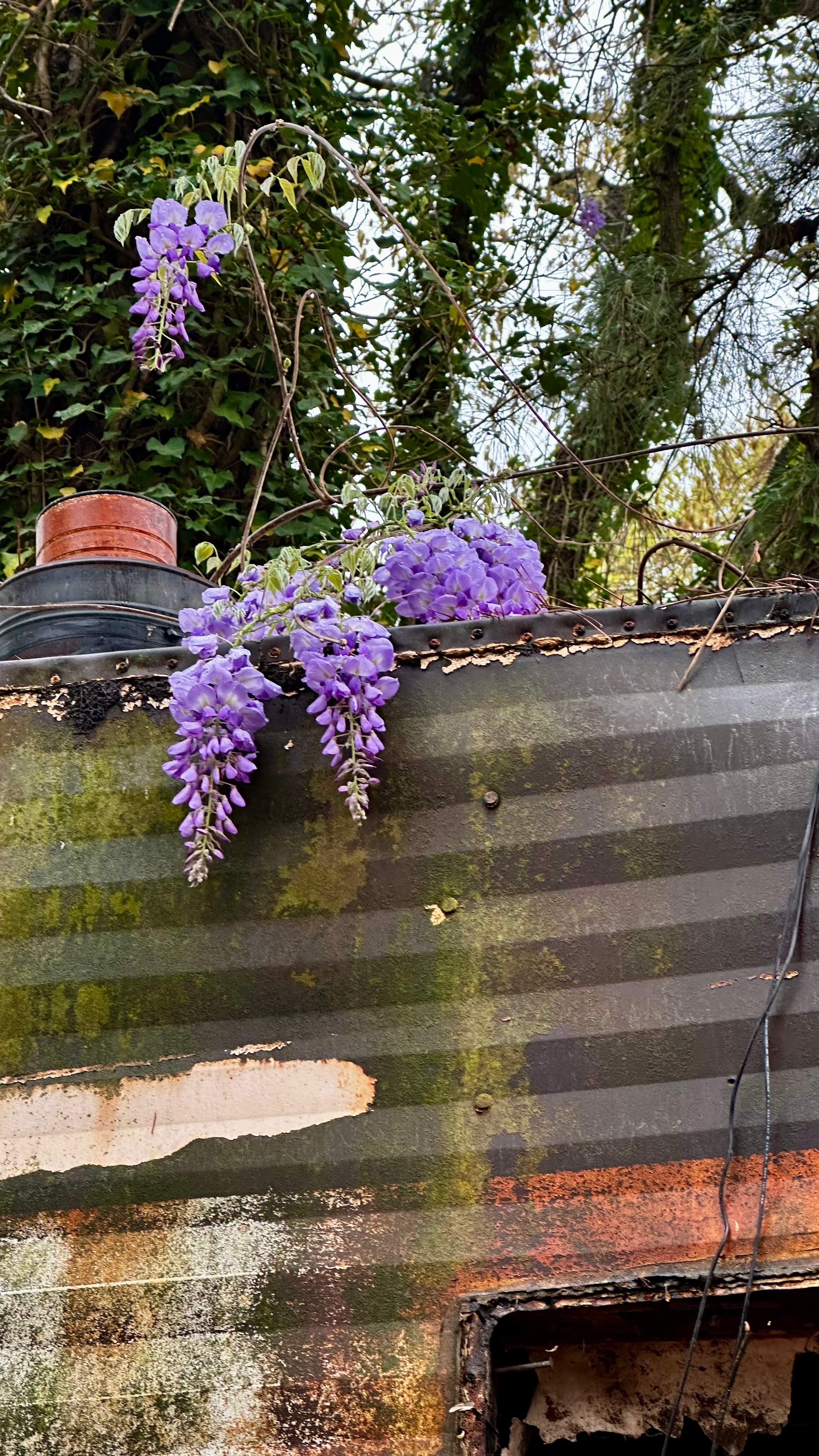 BeeGirl ETX HQ by Rockwall Honey Bee Company