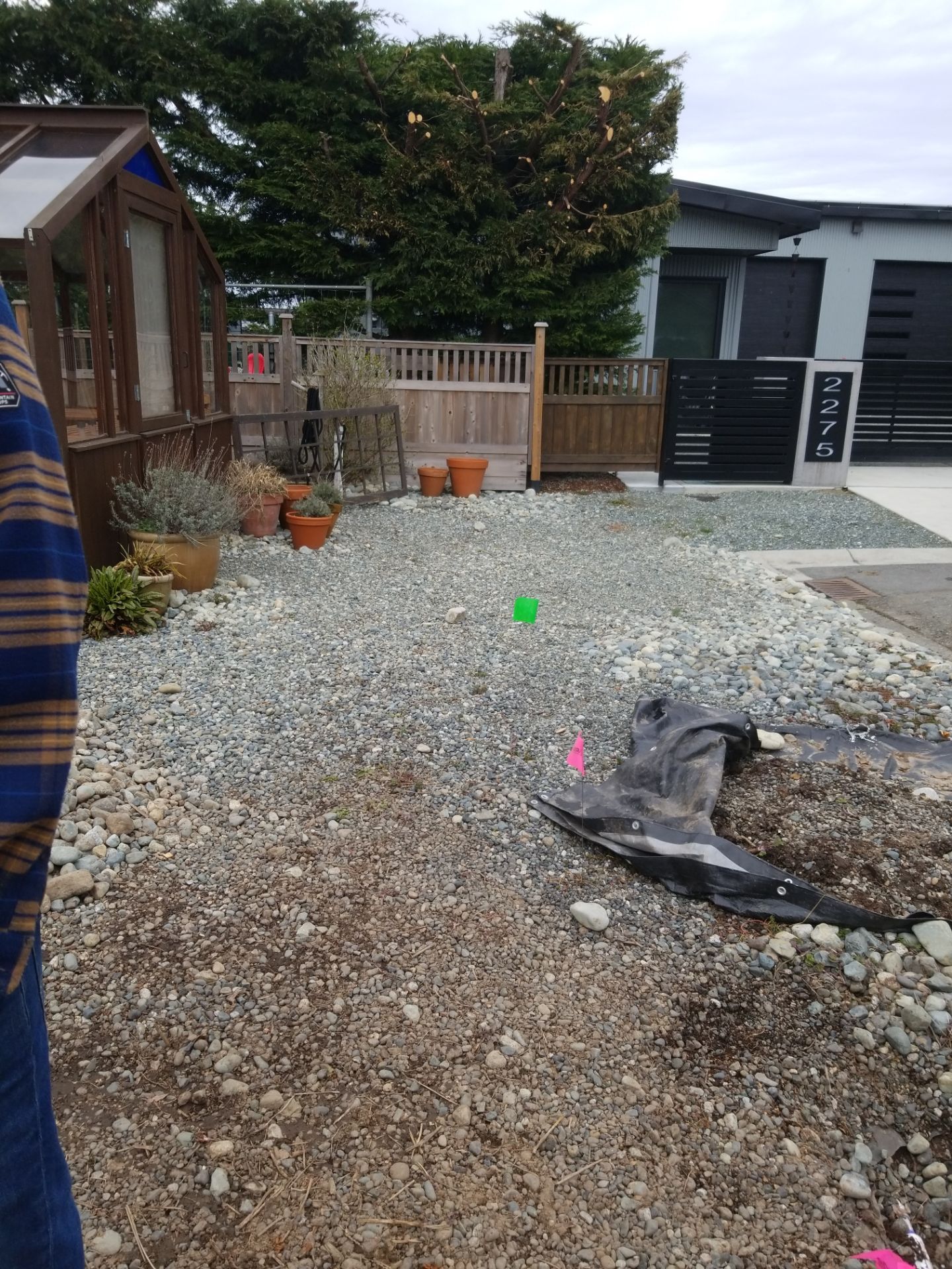 Emerald Cedar Hedge and Irrigation Installation – Enhancing a West Coast Front Yard by Habanero Garden and Exterior Care
