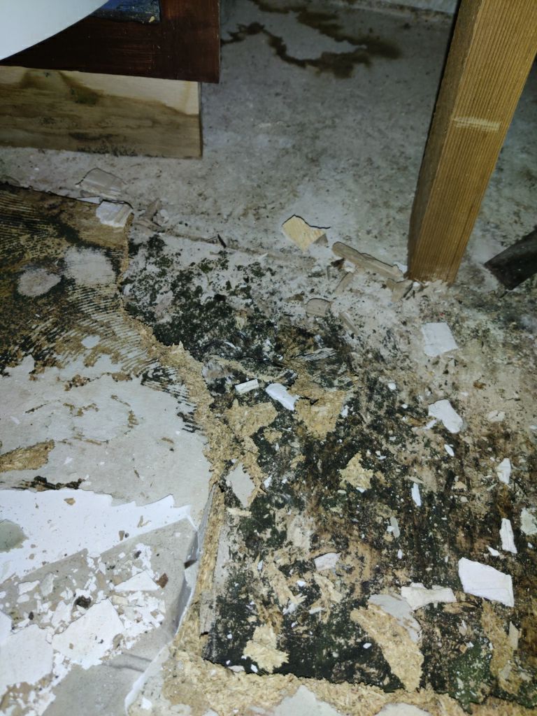 Mold Remediation in Kitchen by Accountable Home Services