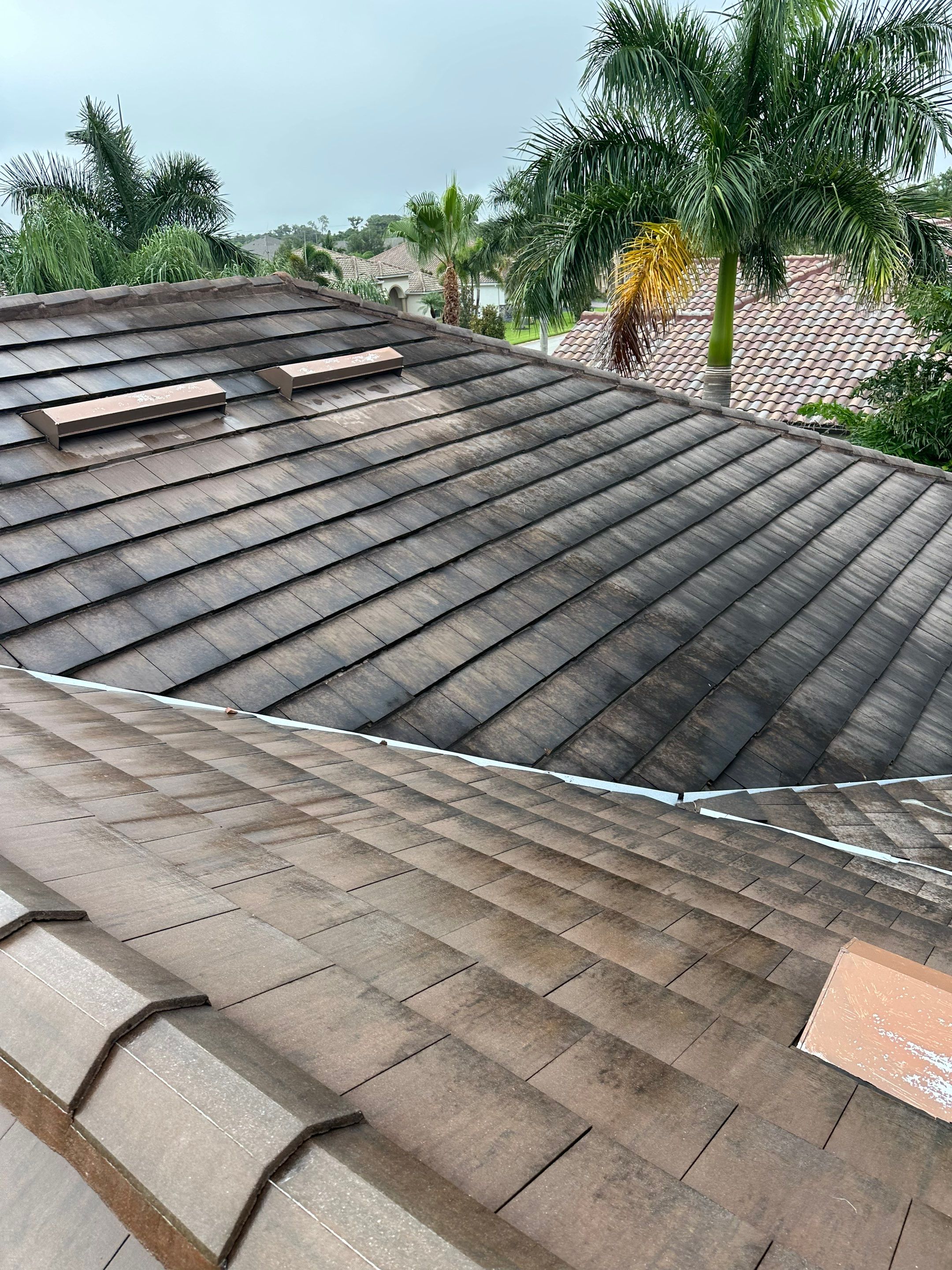 Flat Tile Roof Cleaning, House Wash & Sidewalk Cleaning in Enclave at Country Meadows, Bradenton, FL | Sunshine AquaWash by Sunshine AquaWash
