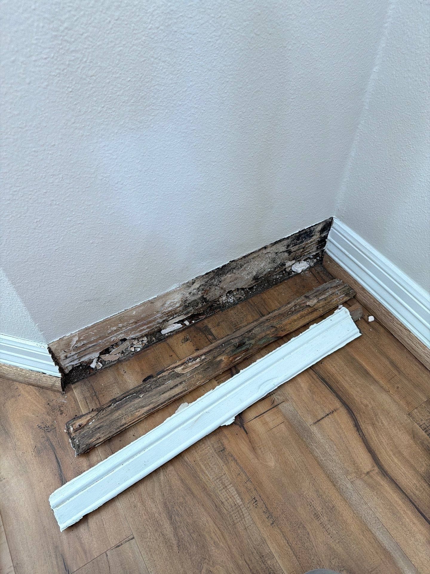 Water Damage Remediation and Restoration in Baytown by Southern Quality Craftsmanship