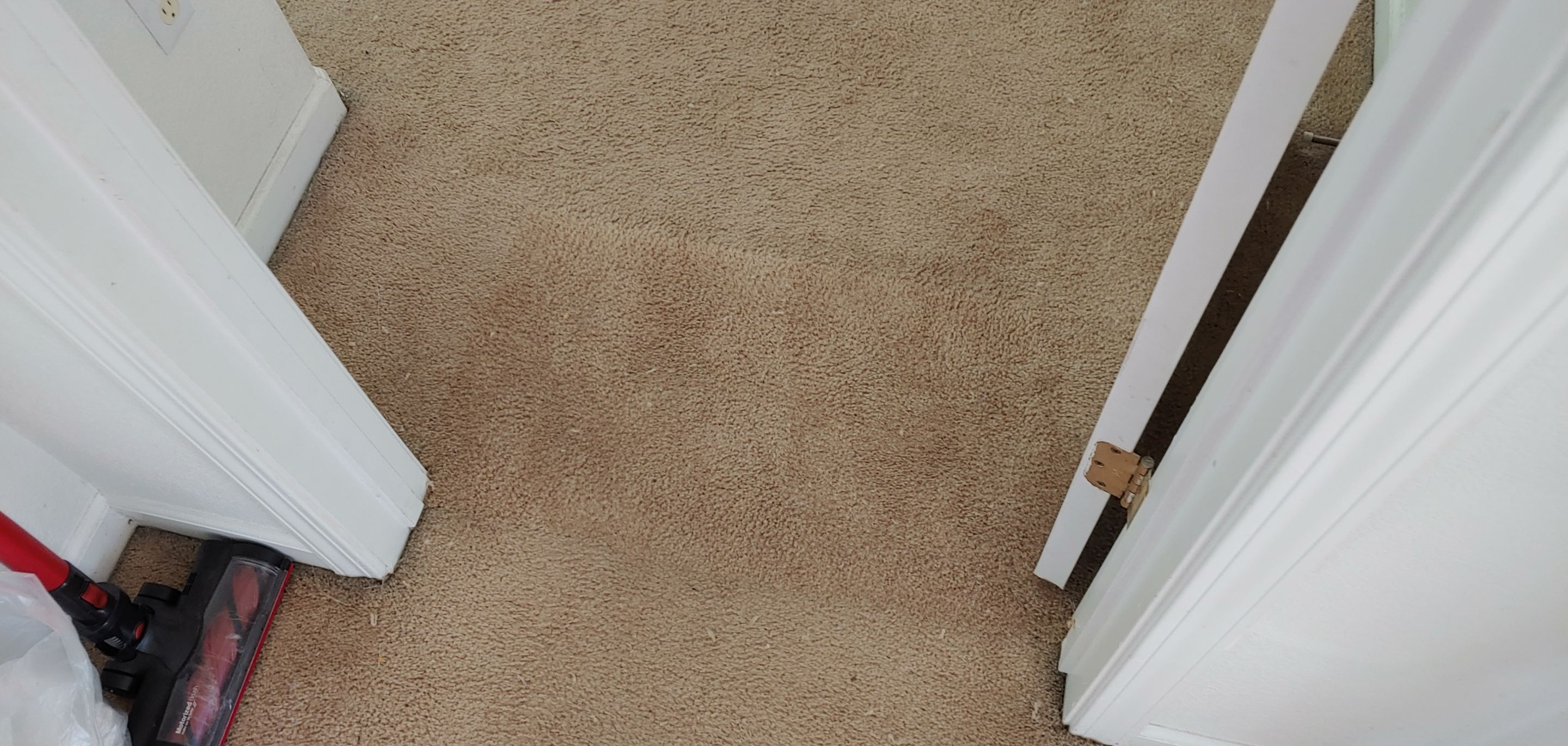 Repairing Carpet Damaged by Pets by Ardent Carpet Restore LLC