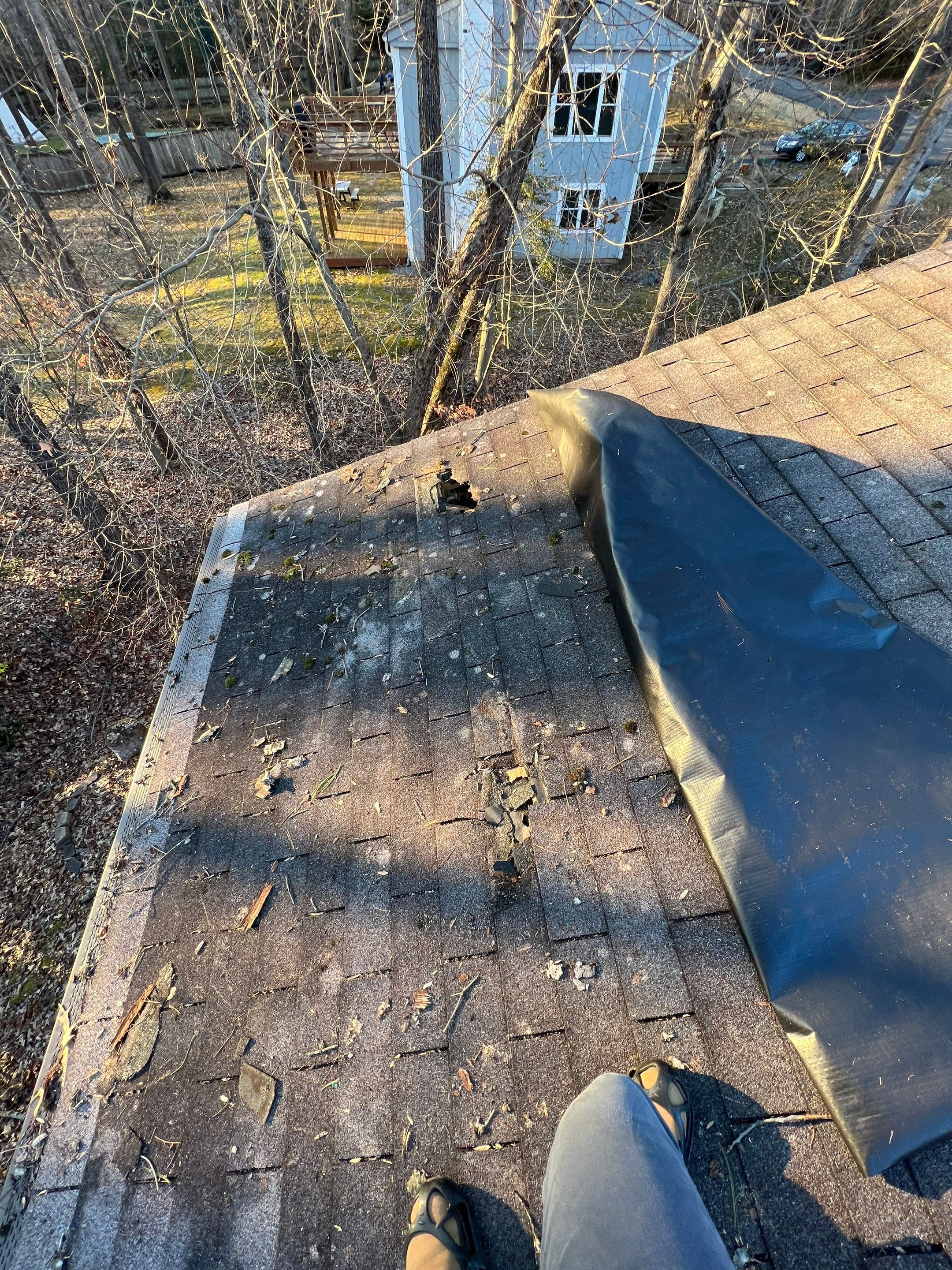 Manassas: CertainTeed Landmark Designer Shingles in Charcoal Black by RM Banning, Inc.