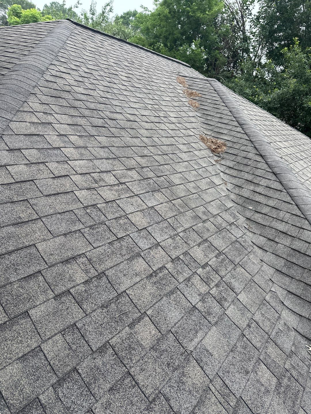 Hail Damage using Owen's Corning Duration (Lifetime) Shingles by Roof Repair Company