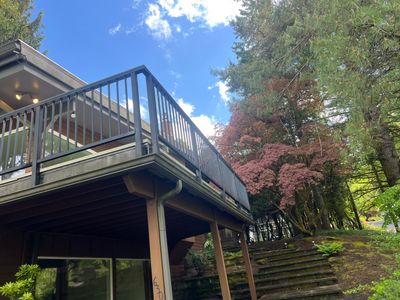 Roof Cleaning in Portland