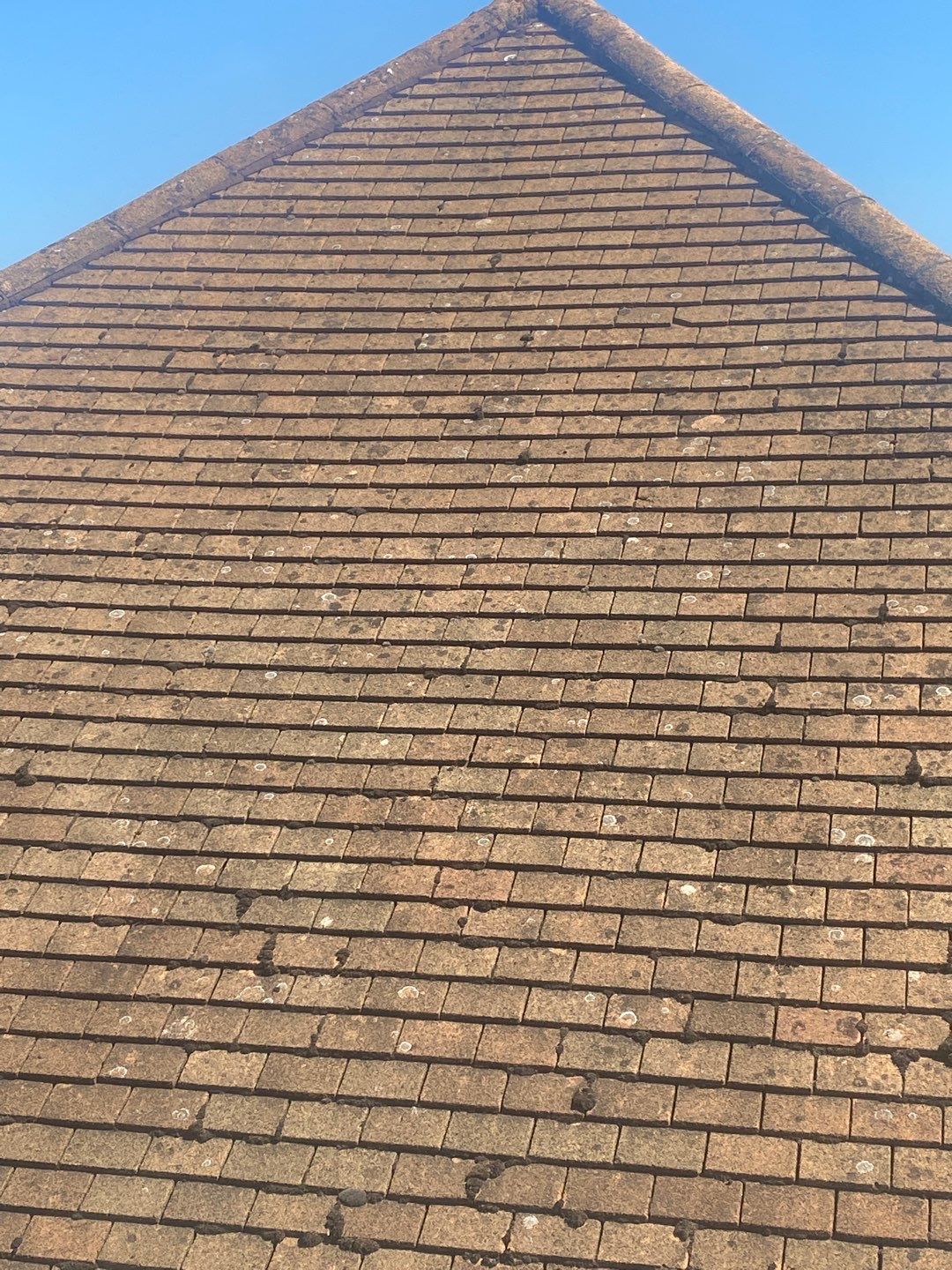 Roof Clean - Render Clean using Honda 15lpm Low Pressure Washing Machine by Ges Exterior Cleaning ltd