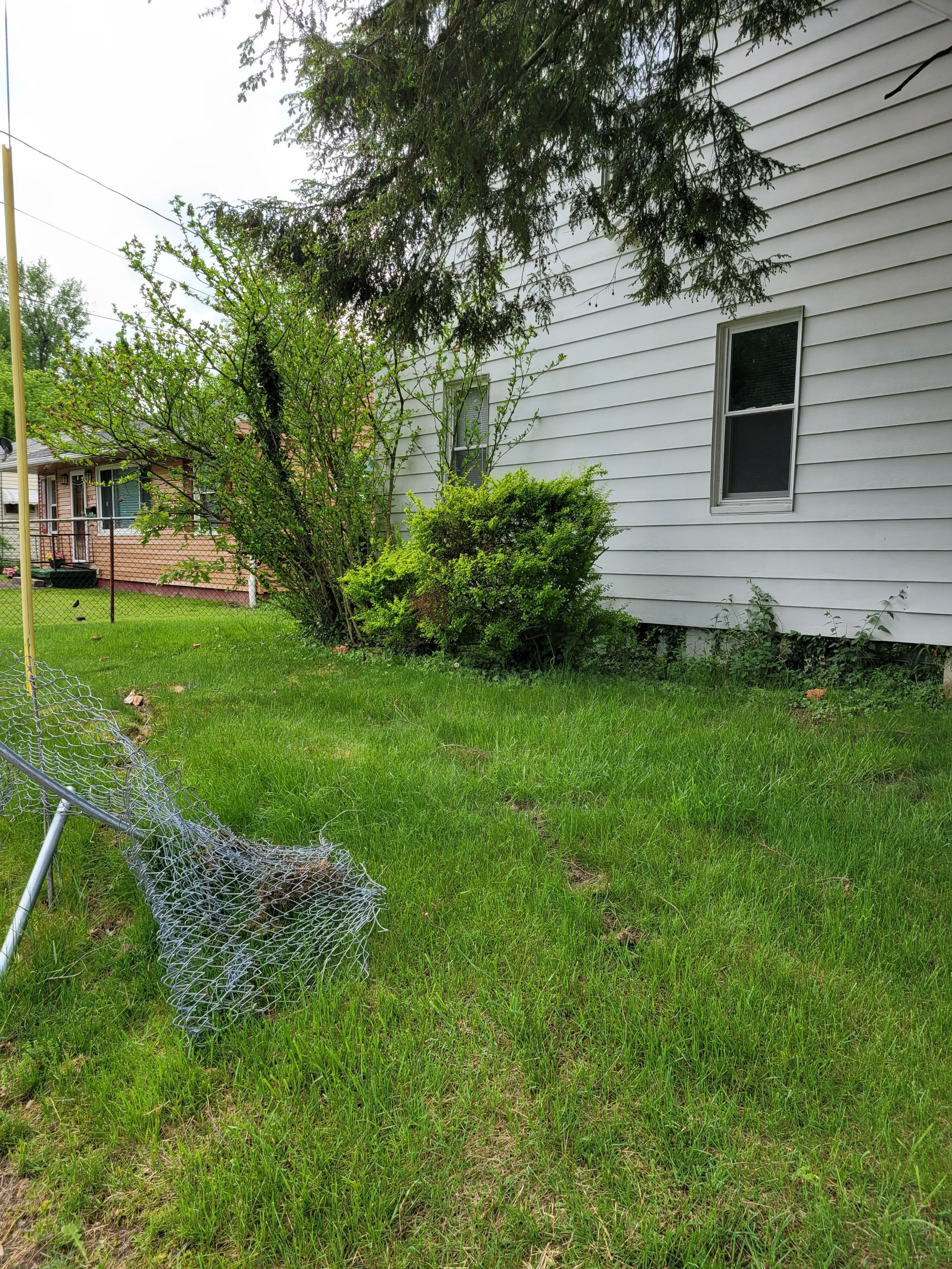 Tree Removal using Tree Removal by Mike Jones & Sons Tree Service LLC 
