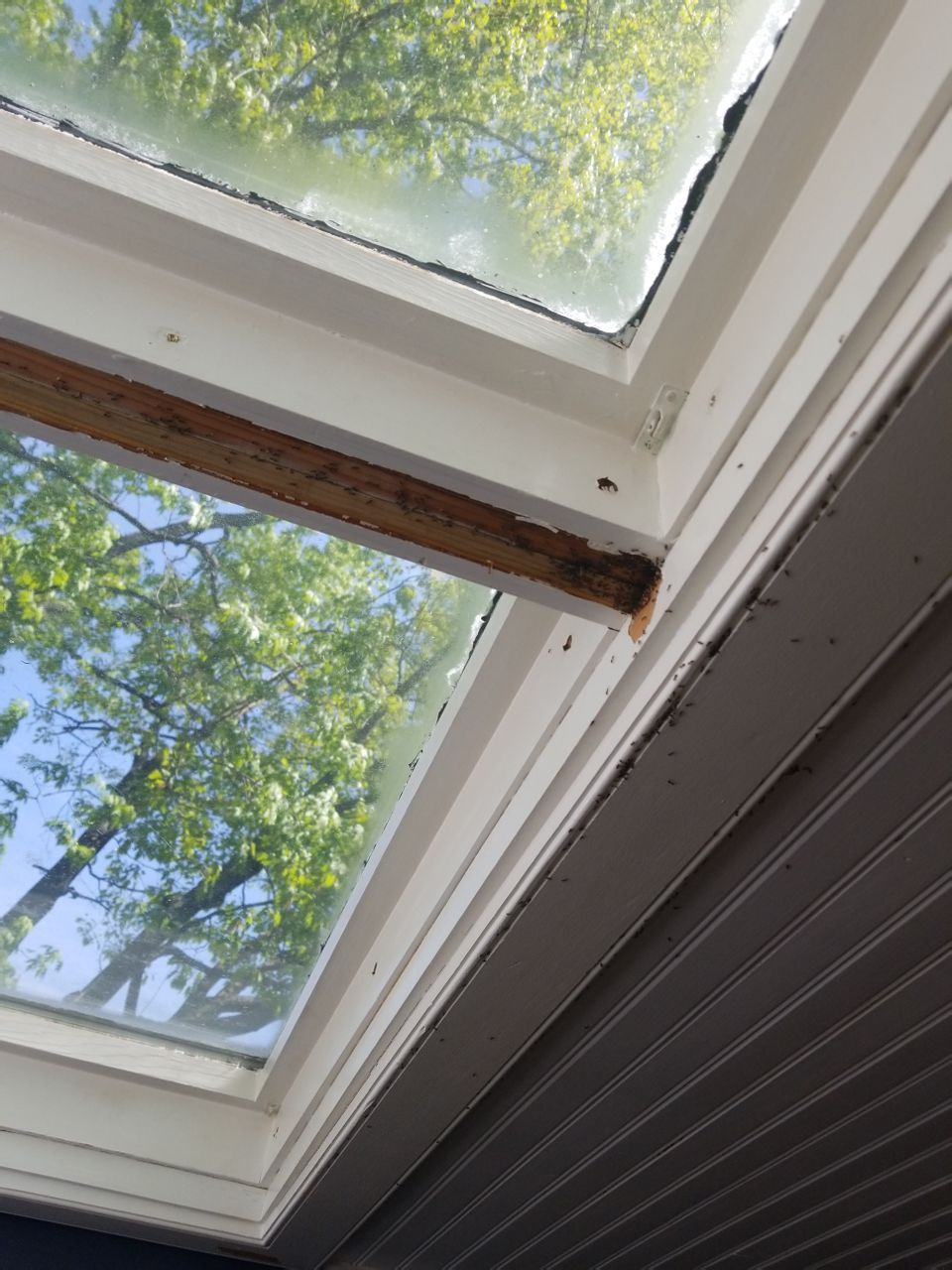 Skylight and Gutter Replacement by American Home Contractors