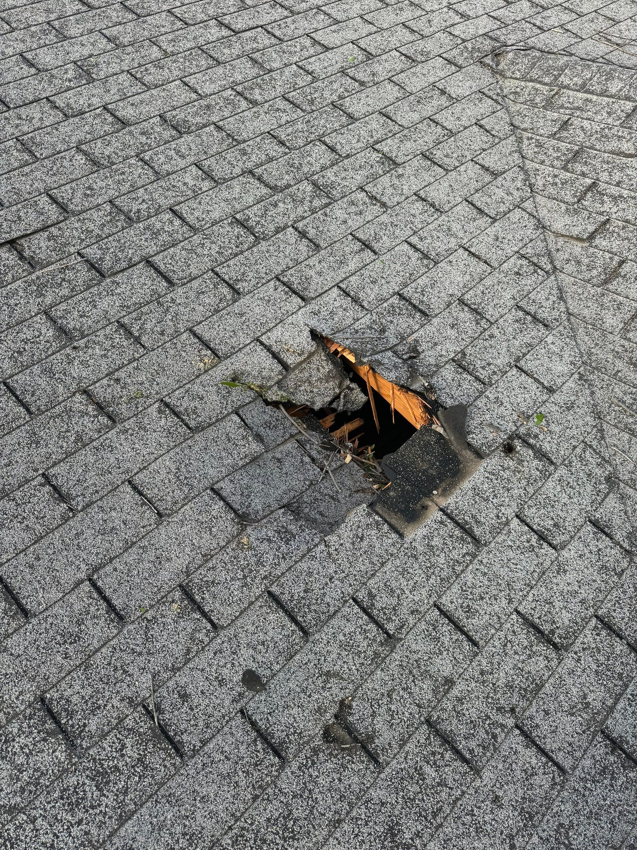 Storm Damage and Emergency Repairs  by Grizzly Fence And Patio