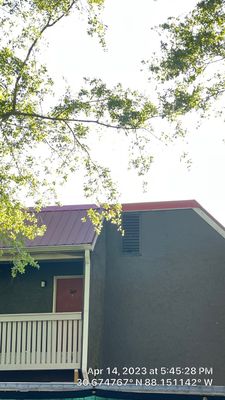 TPO Roof