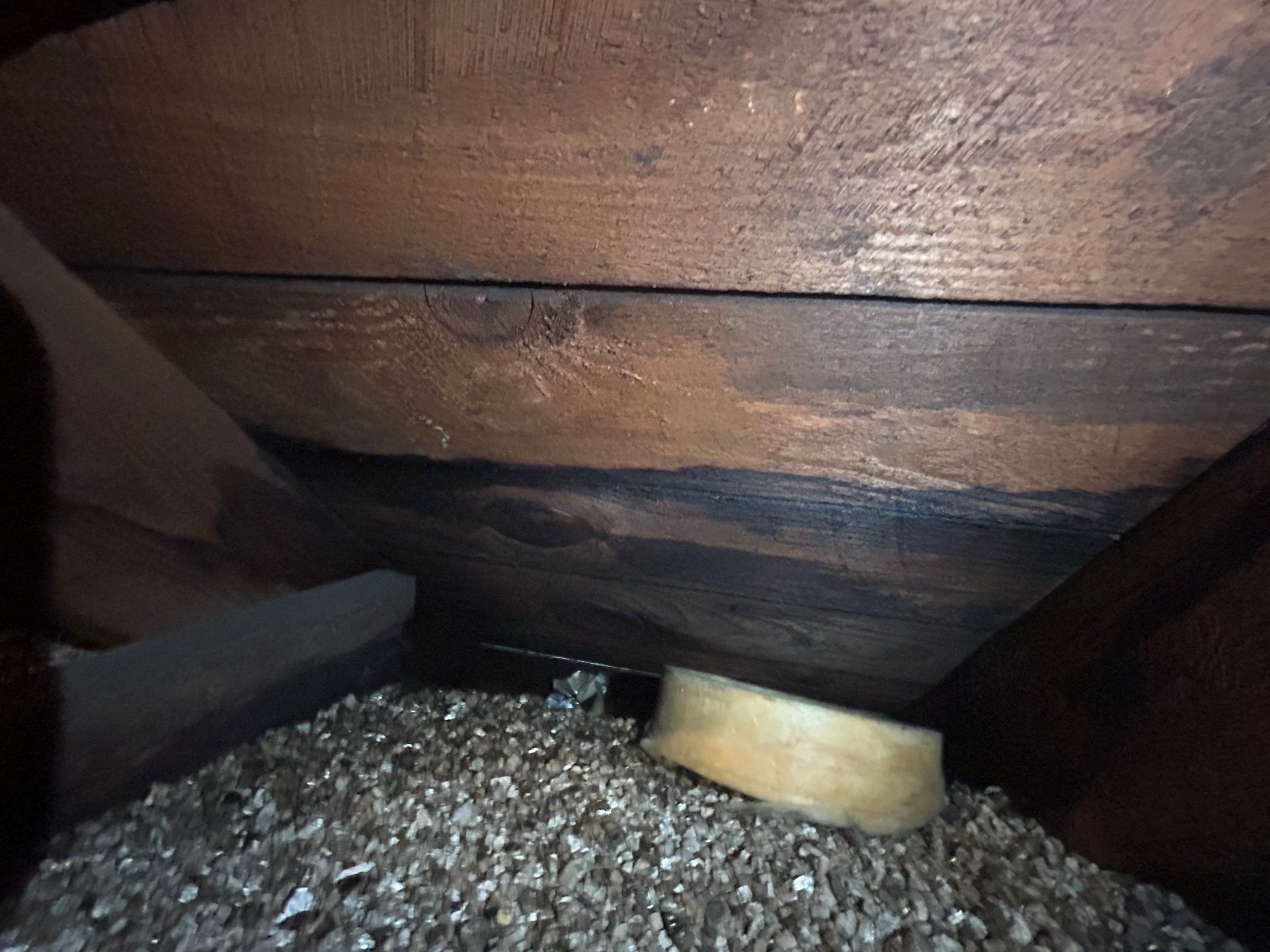 Alexandra: Residential Metal Roofing  by RM Banning, Inc.