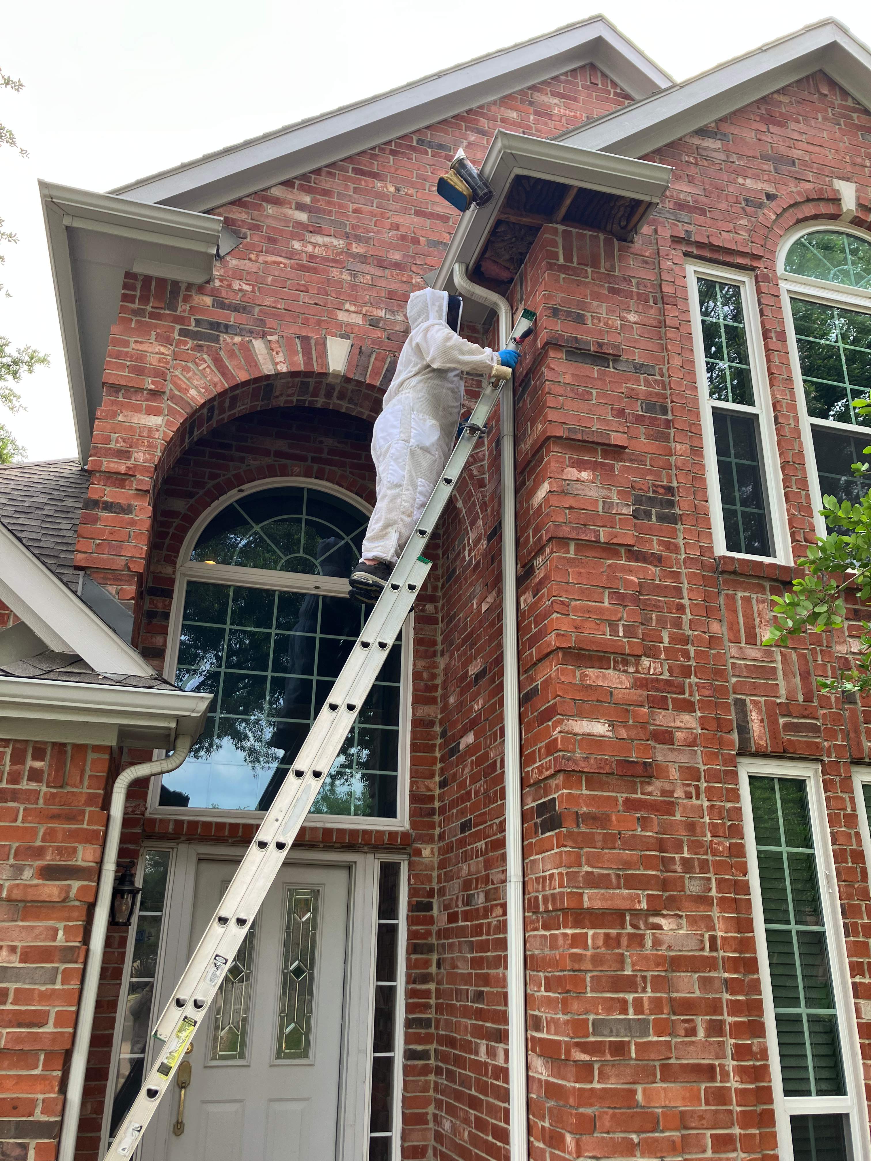 Caution! by Rockwall Honey Bee Company