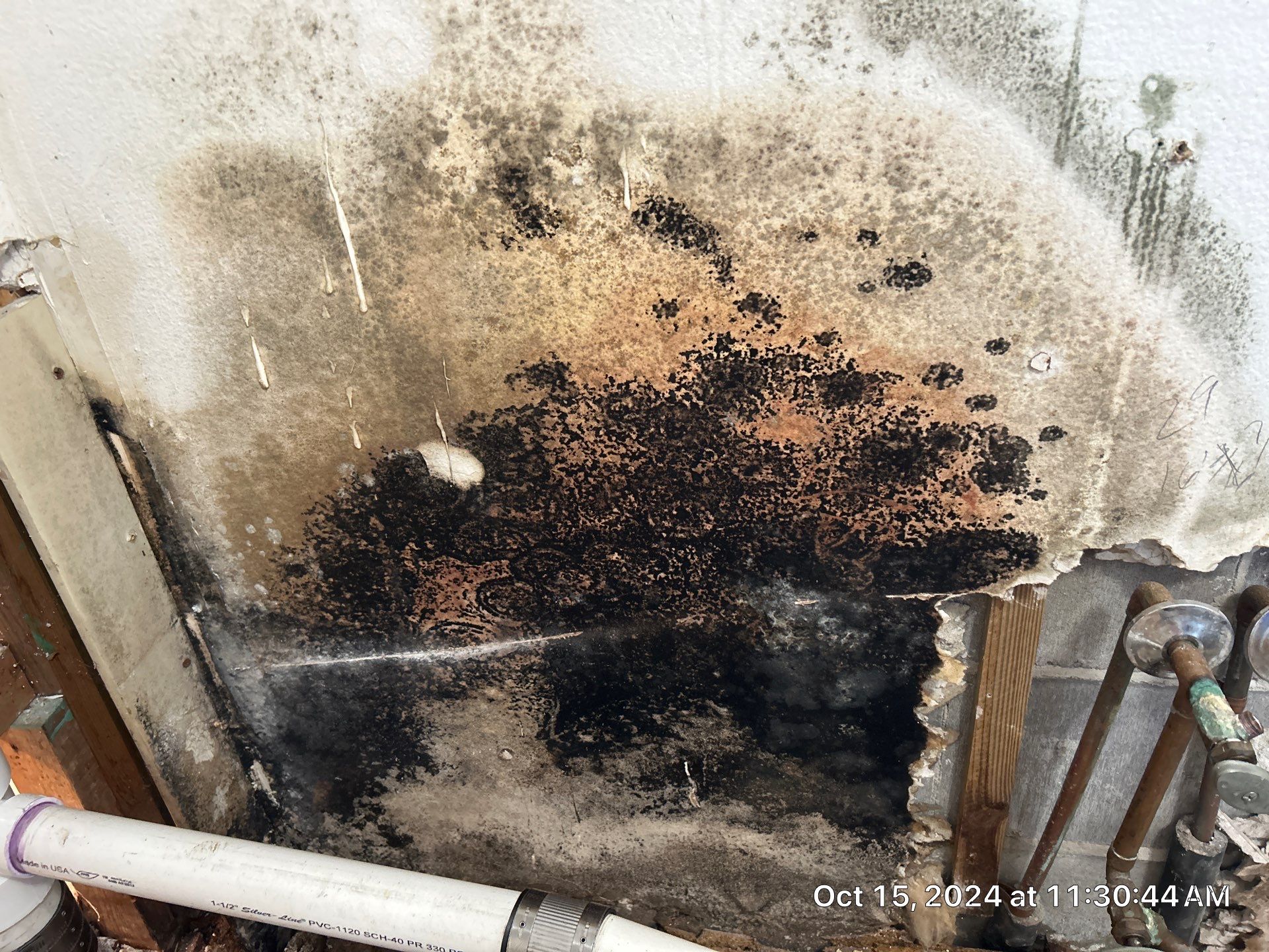 Mold Inspection by Ampm Restoration Services