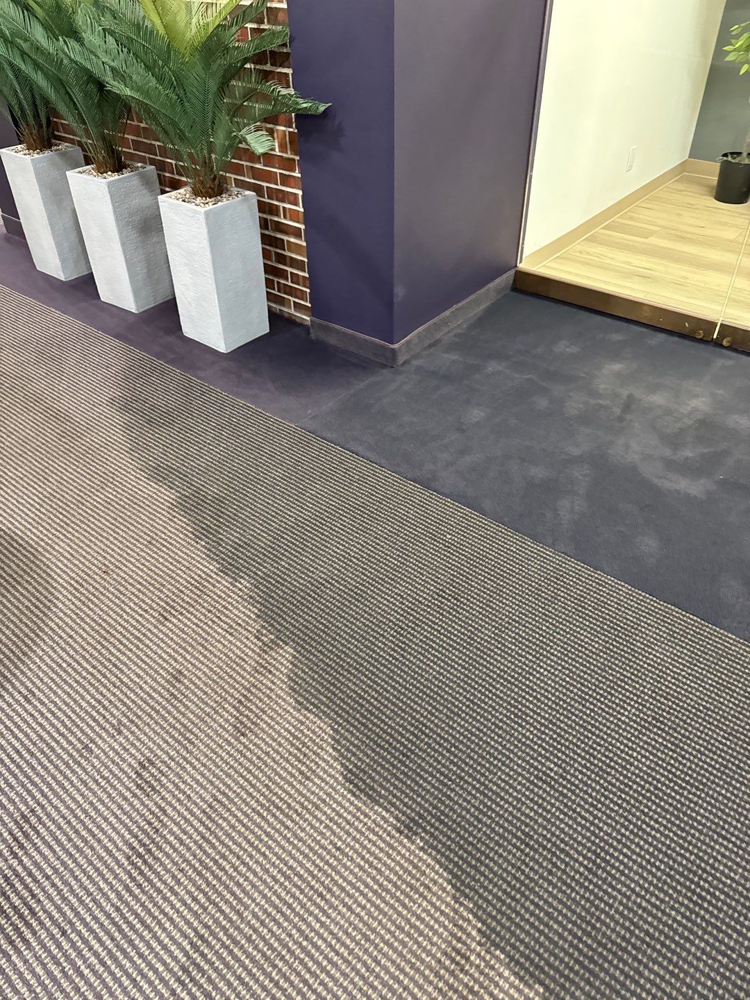 Project in Southfield by EzDry Water Mitigation & Property Restoration