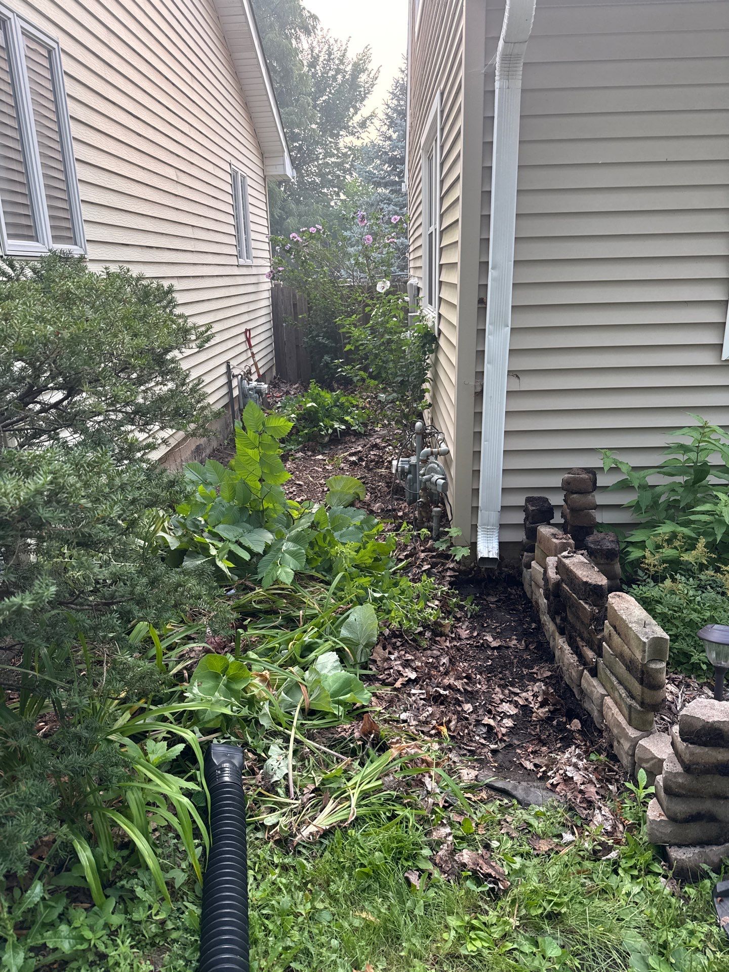 Allison C. - Arlington Heights, IL by A&N
