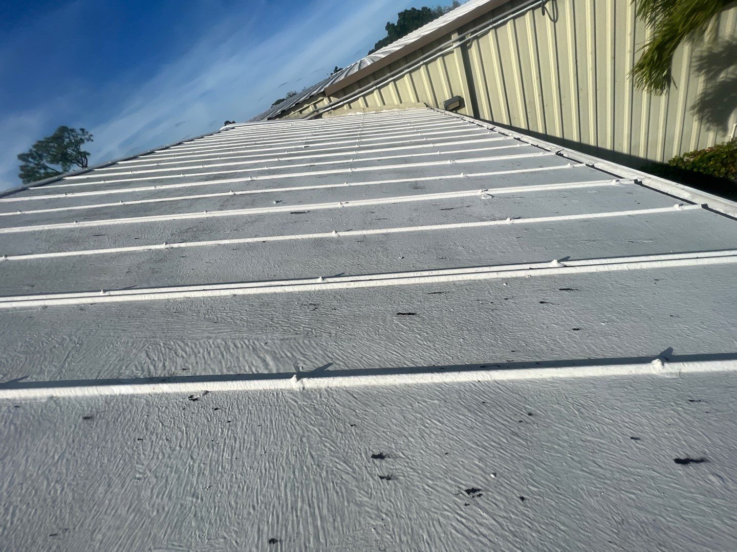 Commercial Building in Ft. Myers Roof Inspection by Four Peaks Roofing