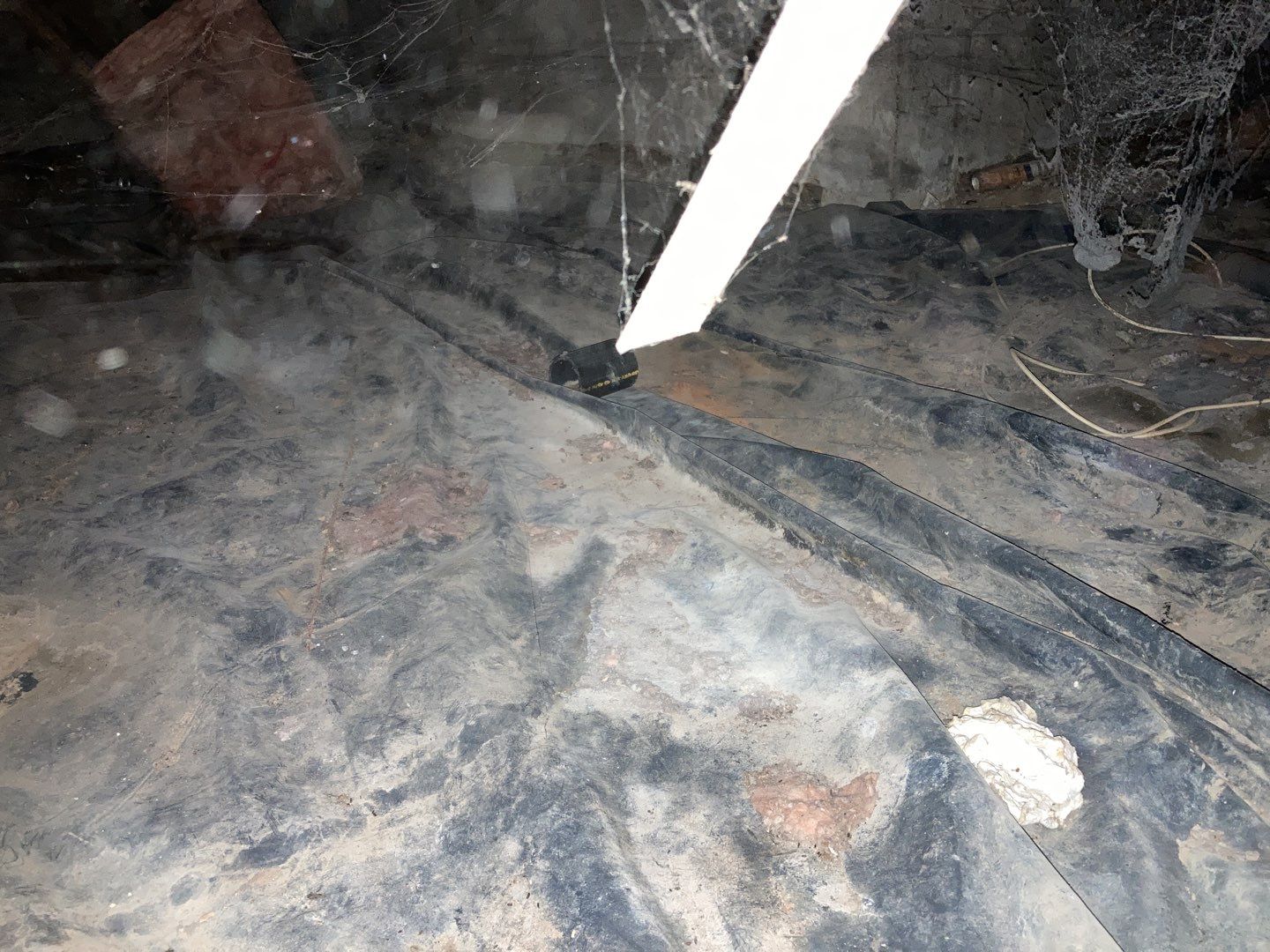 Crawl Space Cleanup  by Accountable Home Services