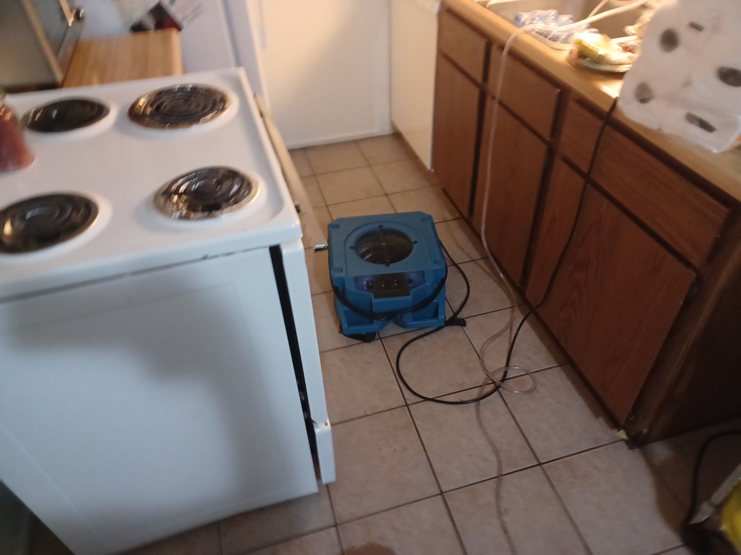 Project in Holly by EzDry Water Mitigation & Property Restoration