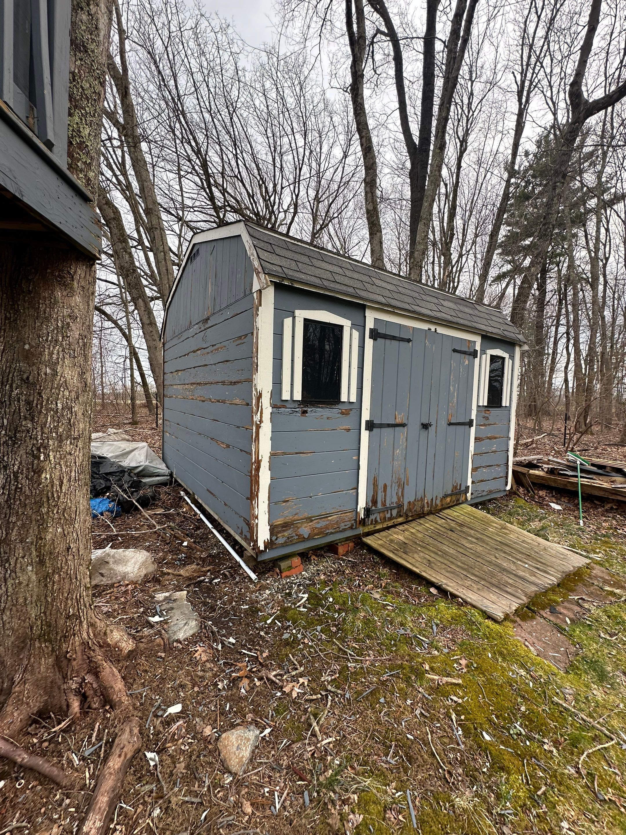 Exterior Painting & Carpentry Repairs by EXCELLENCE | CARTO