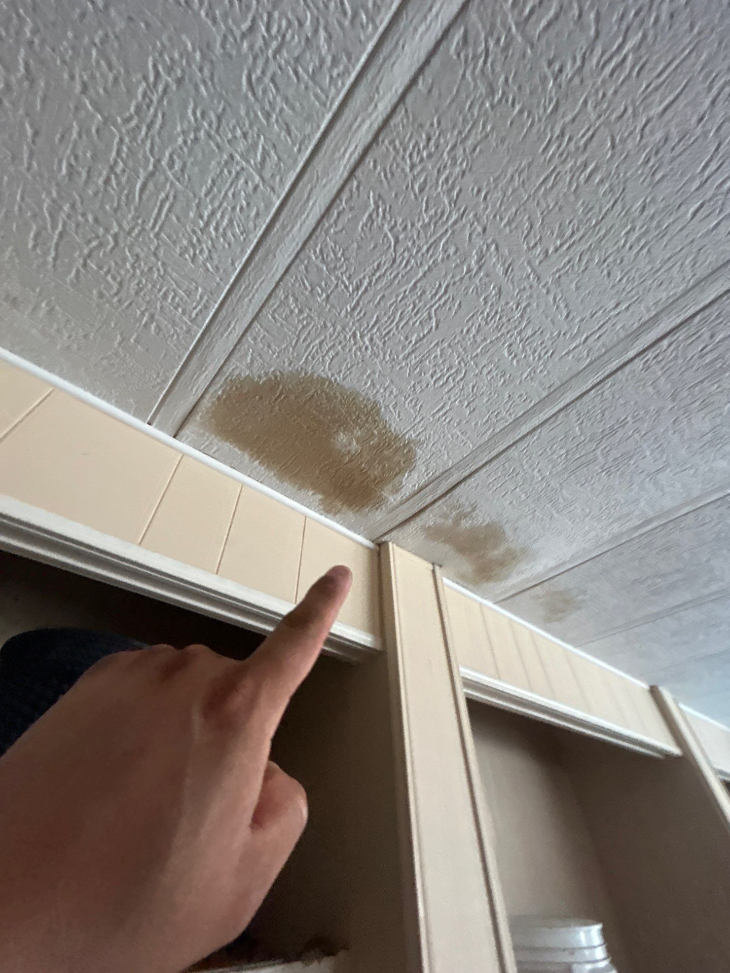 Mold Inspection And Repair In Bradenton by Ampm Restoration Services