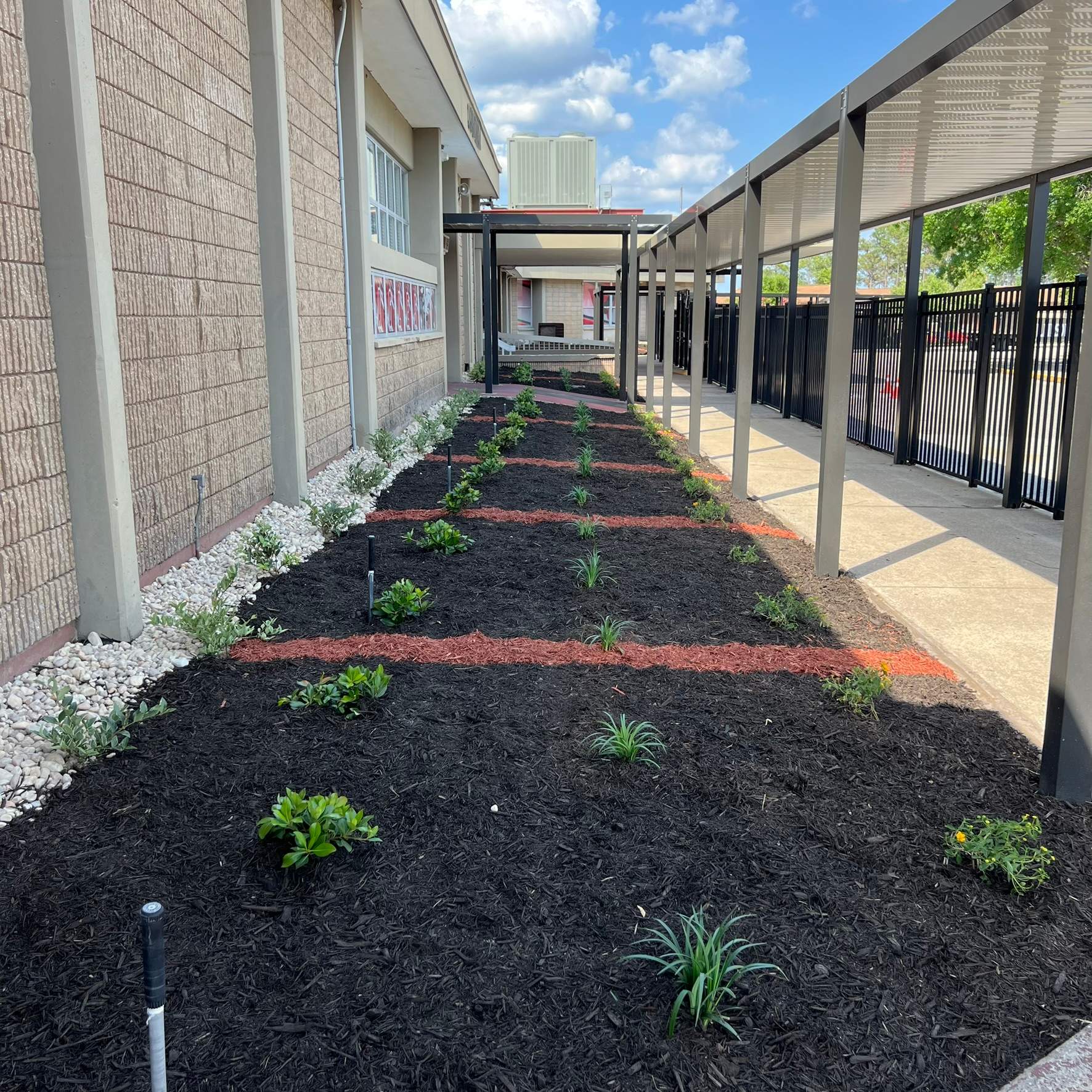 Landscape Install | Wilkinson JHS by ProGreen Services
