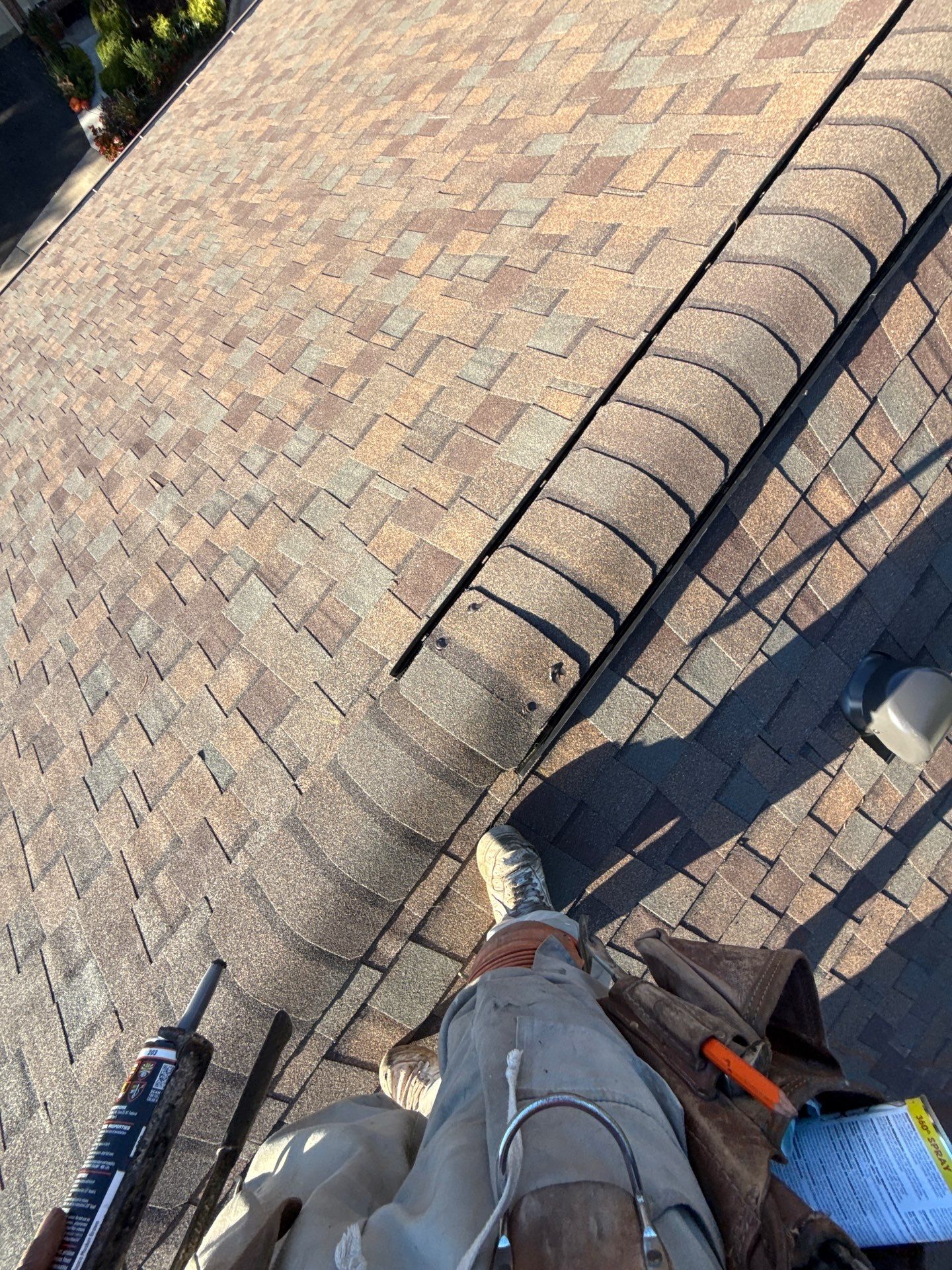 Alexandria : Residential Roof Replacement with CertainTeed Landmark Pro in Max Def Heather Blend  by RM Banning, Inc.