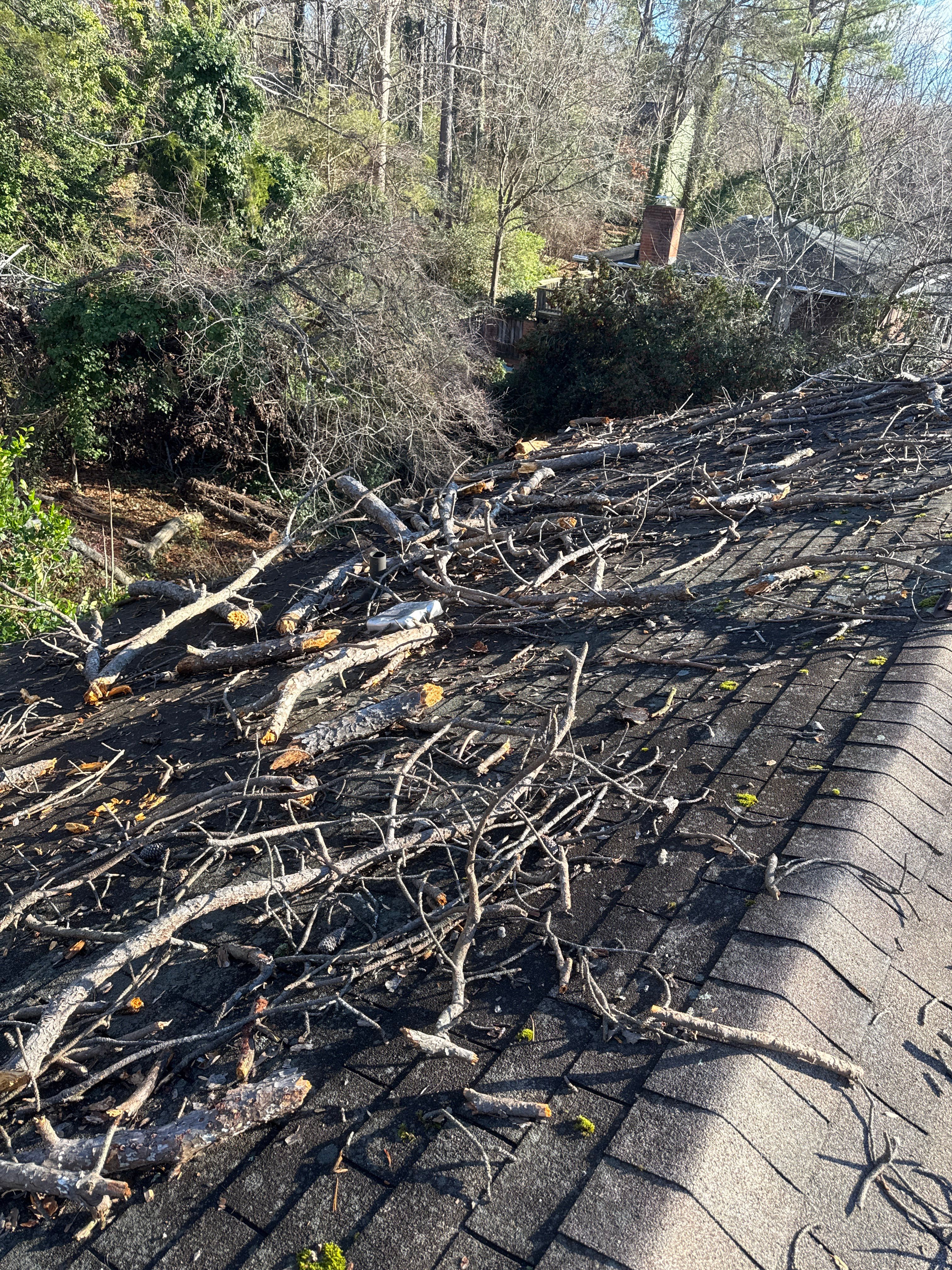 Tree Damage Restoration  using GAF Timberline HDZ by USA Storm Roofing and Construction Group