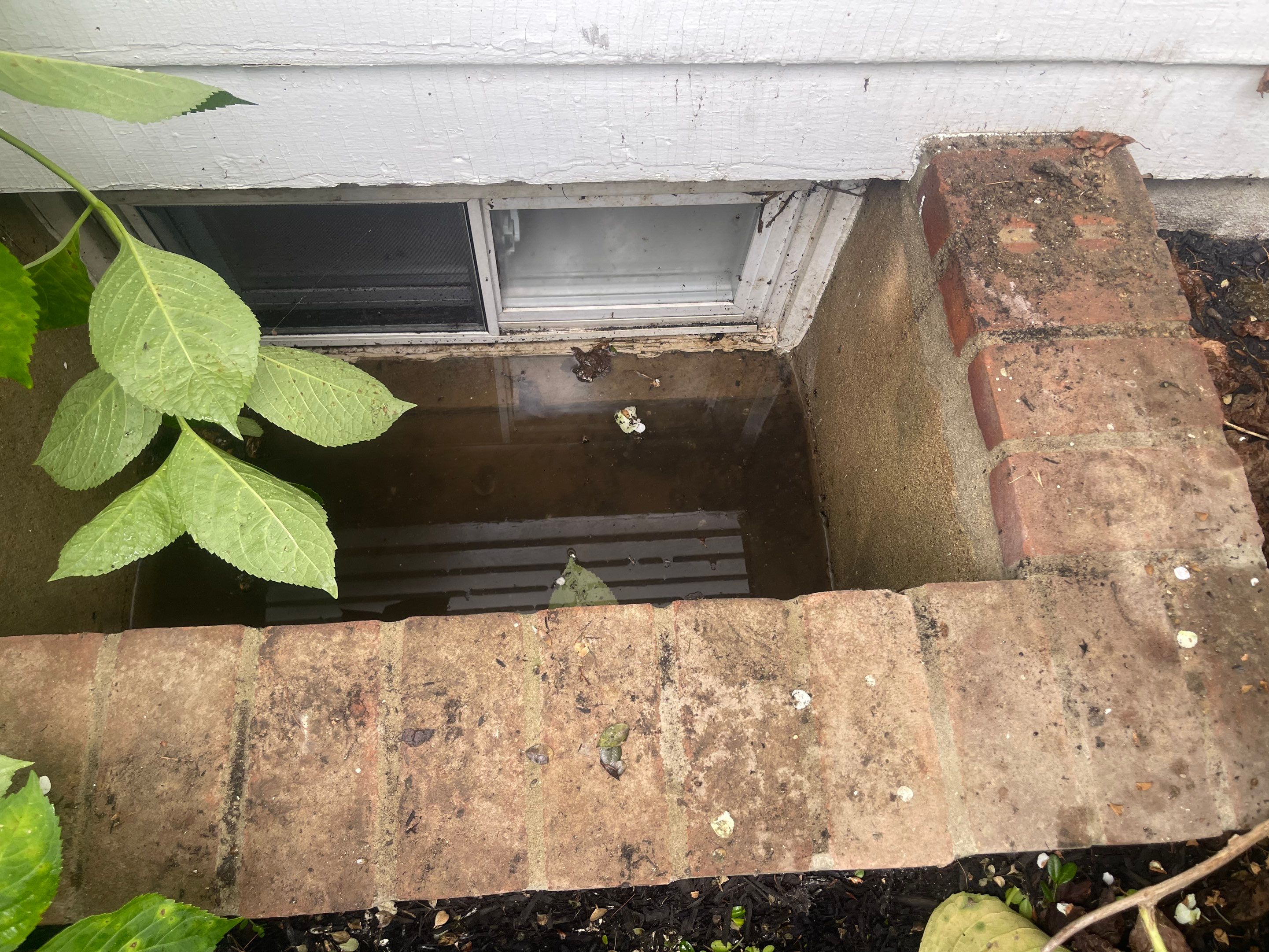 South Dr • Plandome, NY 11030 by A.M. Shield Waterproofing, Corp.